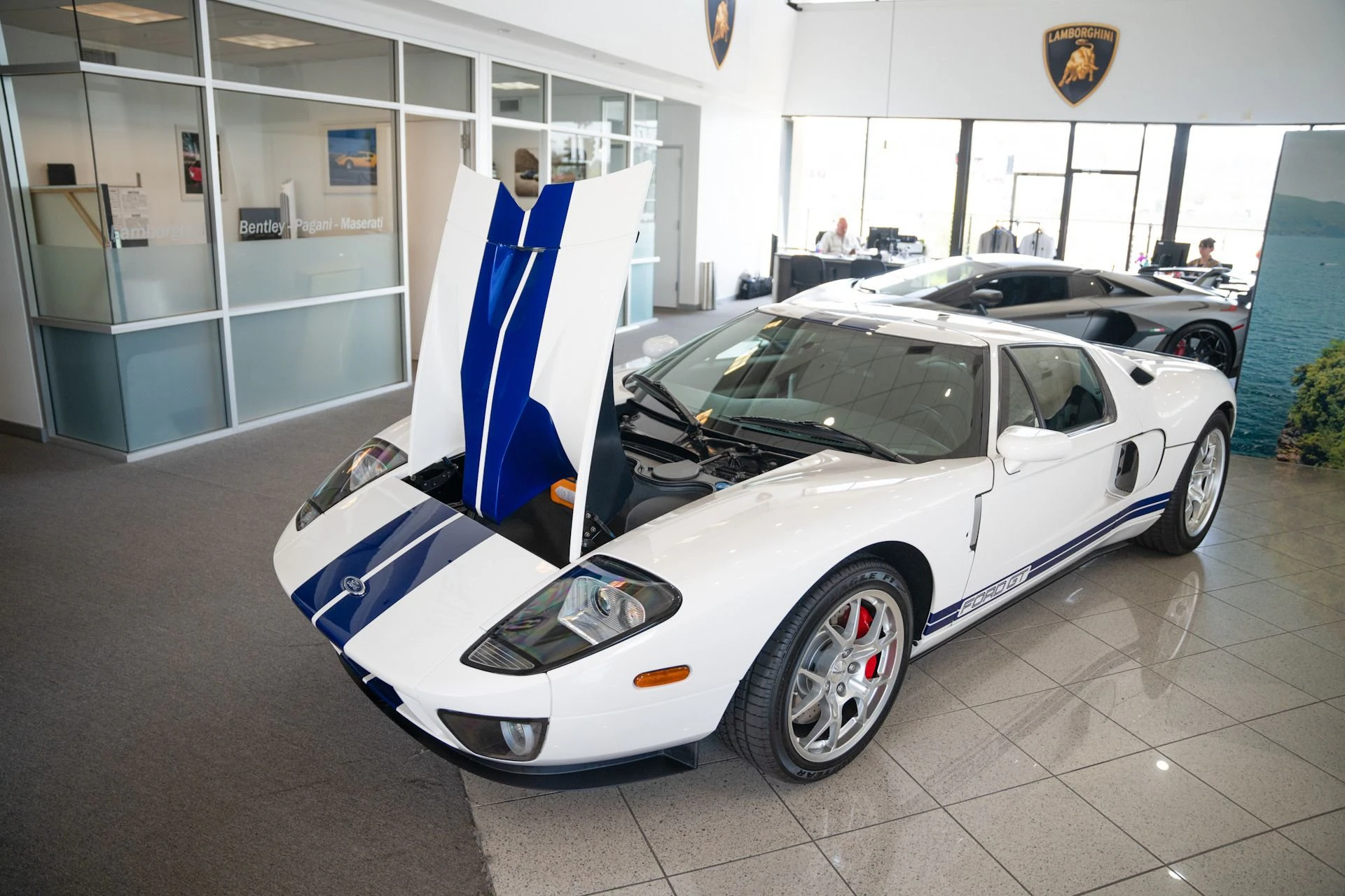 Used 2006 Ford GT coupe (48)