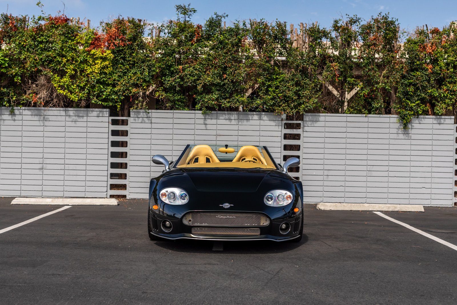 Used 2006 Spyker C8 Spyder For Sale (13)