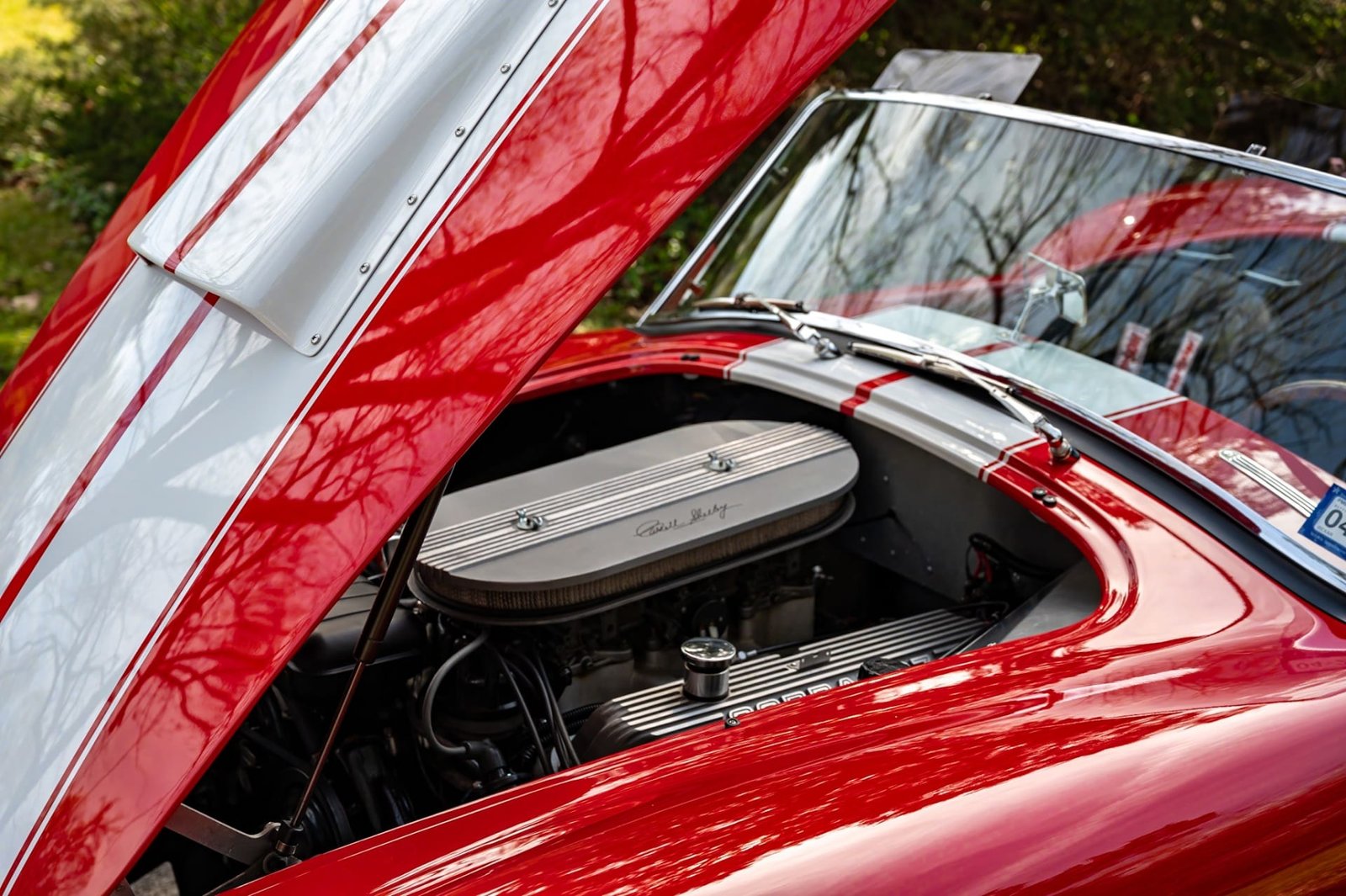 1965 Factory Five Shelby Cobra Replica Mark IV Roadster (3)