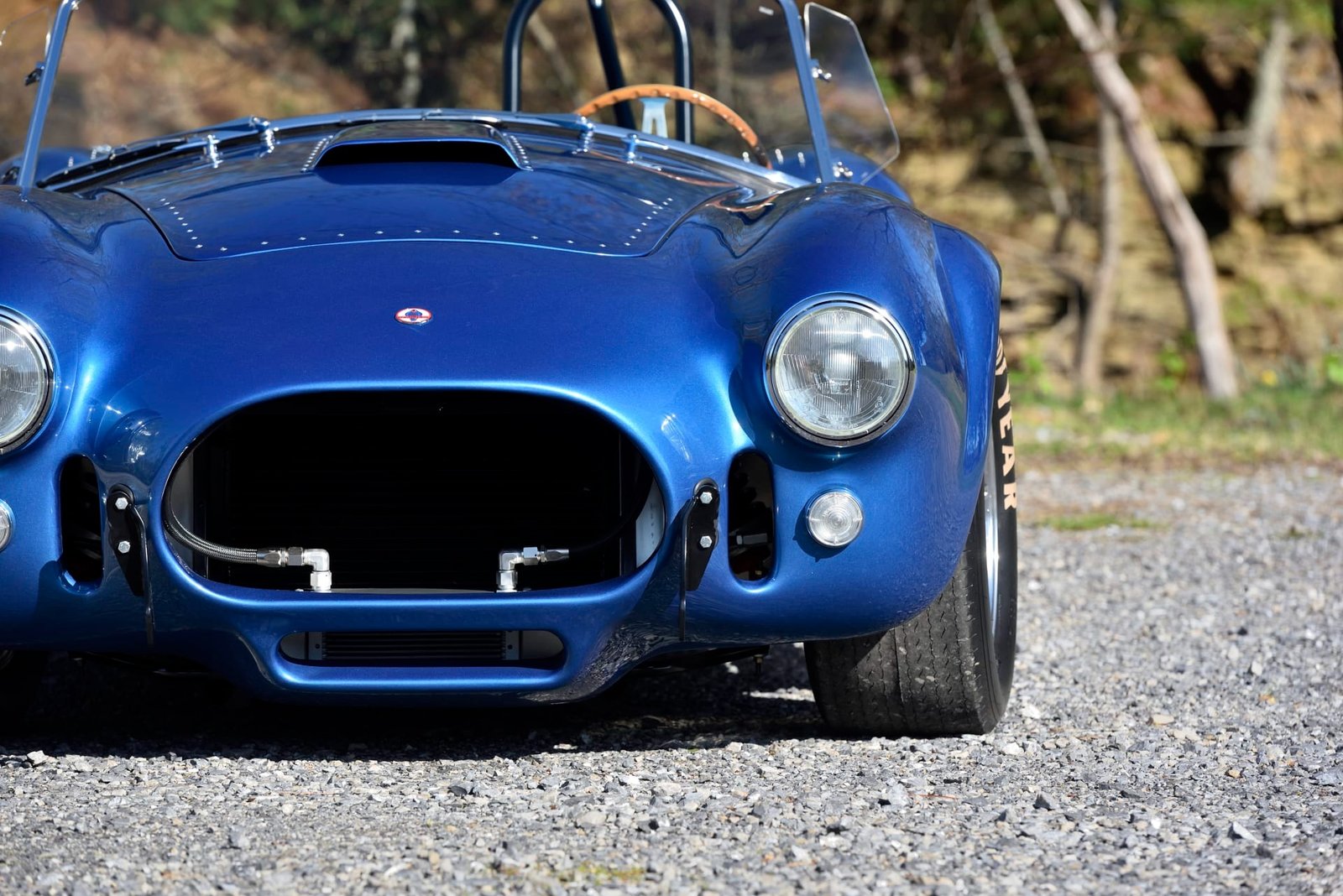1966 Shelby 427 Cobra For Sale (27)