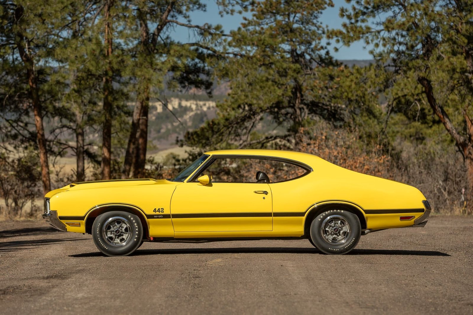 1970 Oldsmobile 442 W-30 Coupe For Sale (26)