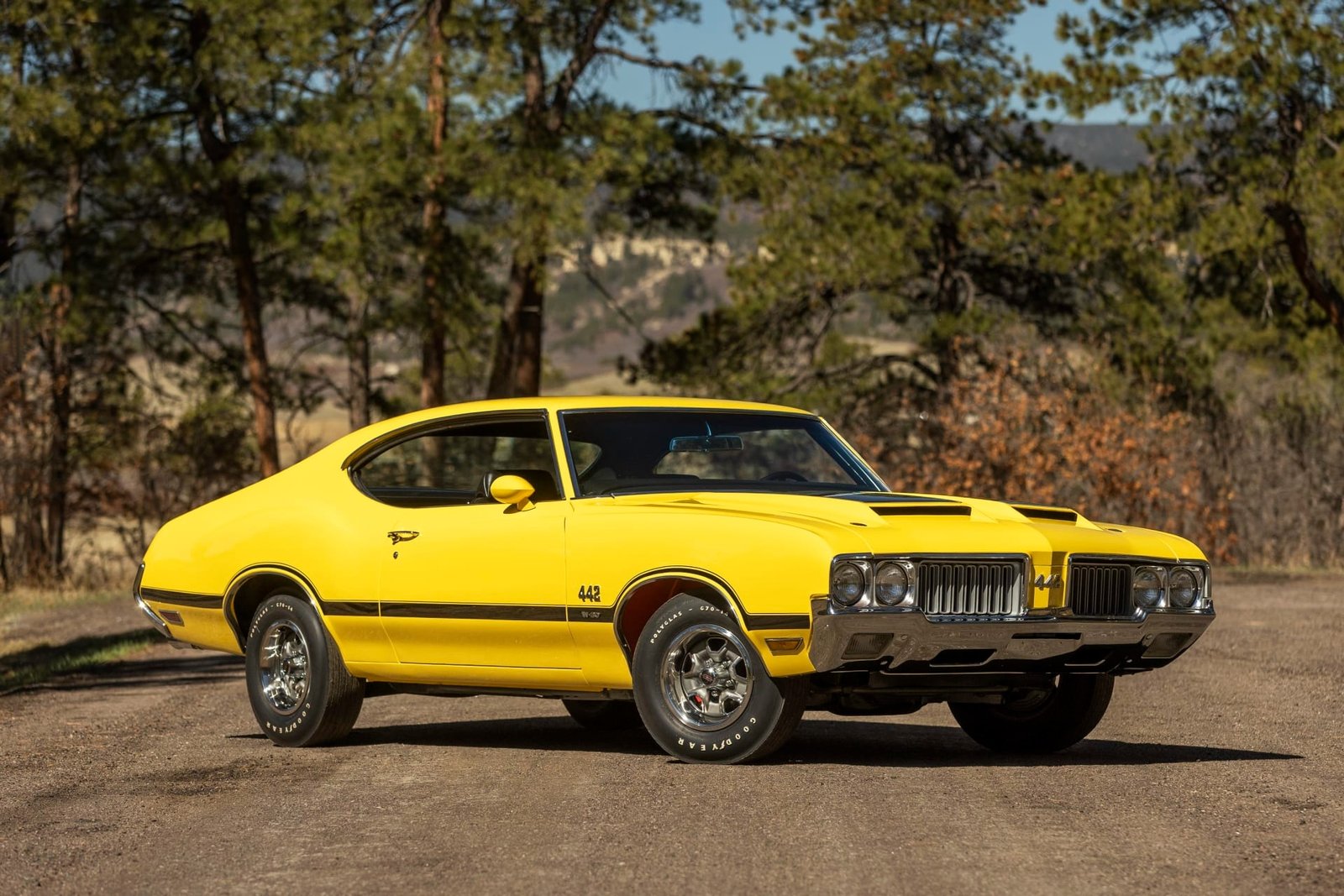 1970 Oldsmobile 442 W-30 Coupe For Sale (4)
