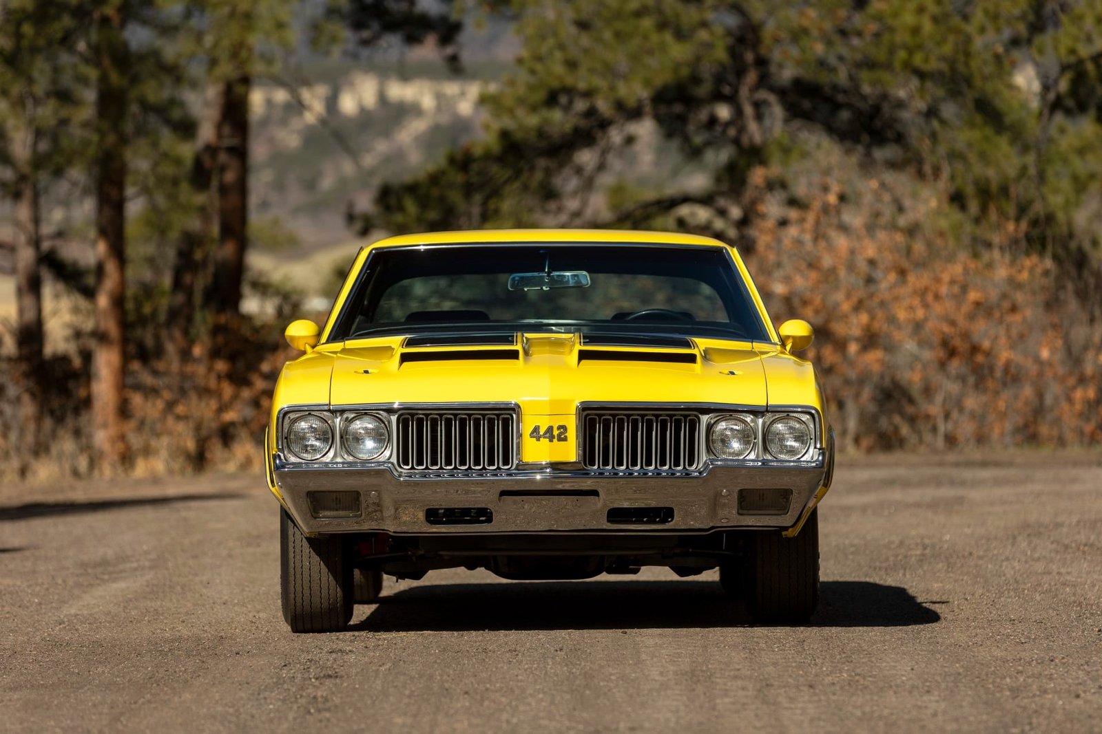 1970 Oldsmobile 442 W-30 Coupe For Sale (6)