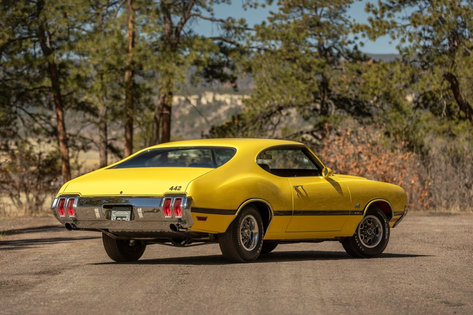 1970 Oldsmobile 442 W-30 Coupe For Sale (7)