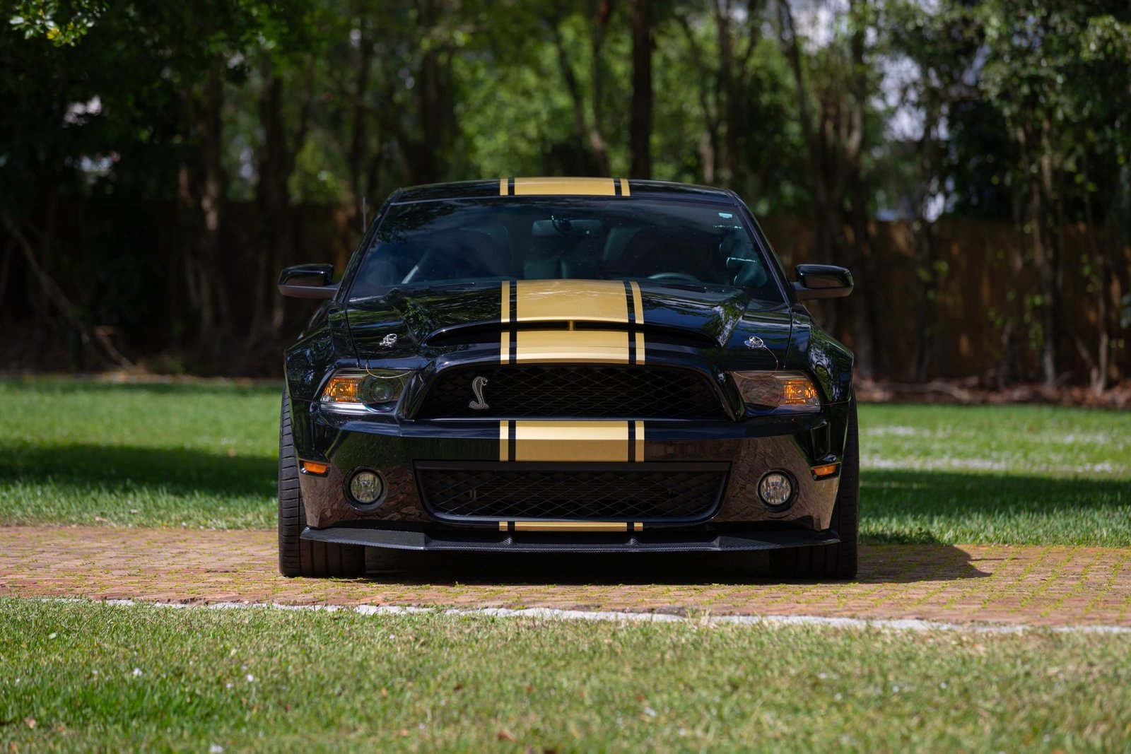 2012 Ford Shelby GT500 Super Snake 50th Anniversary Widebody (6)