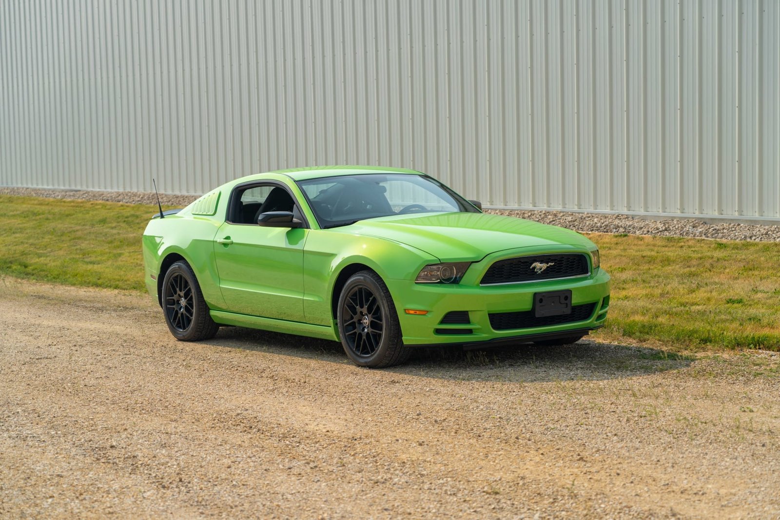 2014 Ford Mustang For Sale (11)