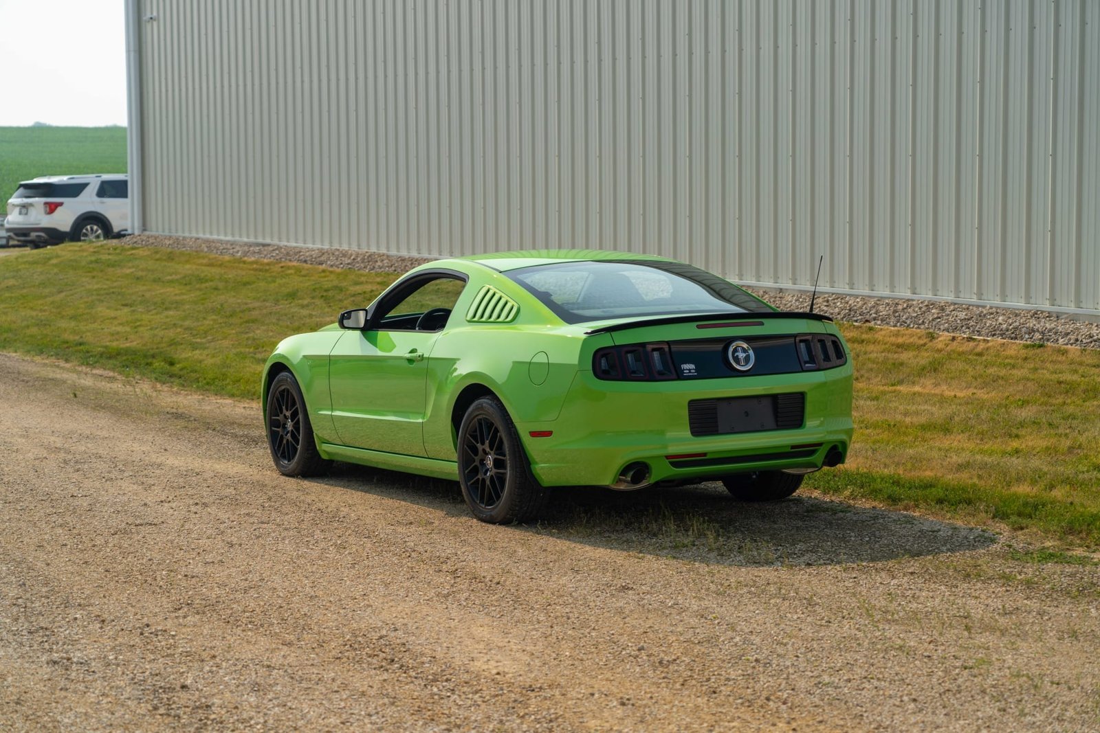 2014 Ford Mustang For Sale (12)