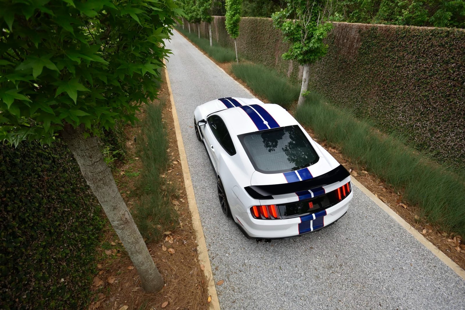 2015 Ford Shelby GT350R For Sale (17)