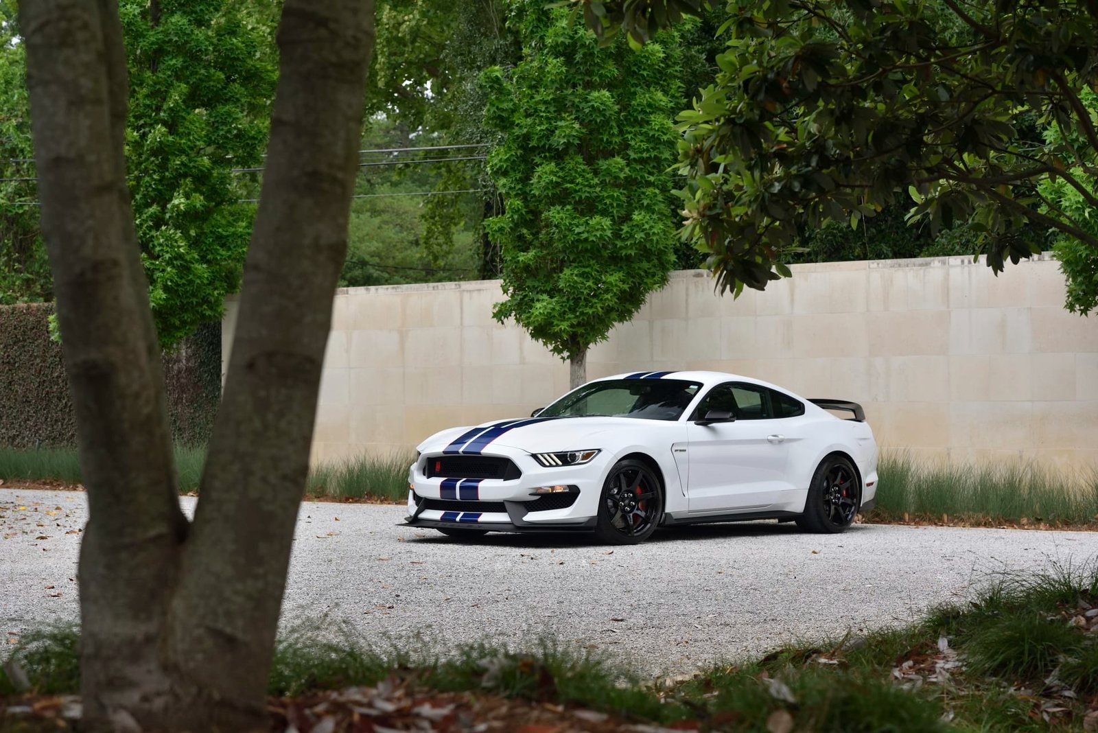 2015 Ford Shelby GT350R For Sale (18)