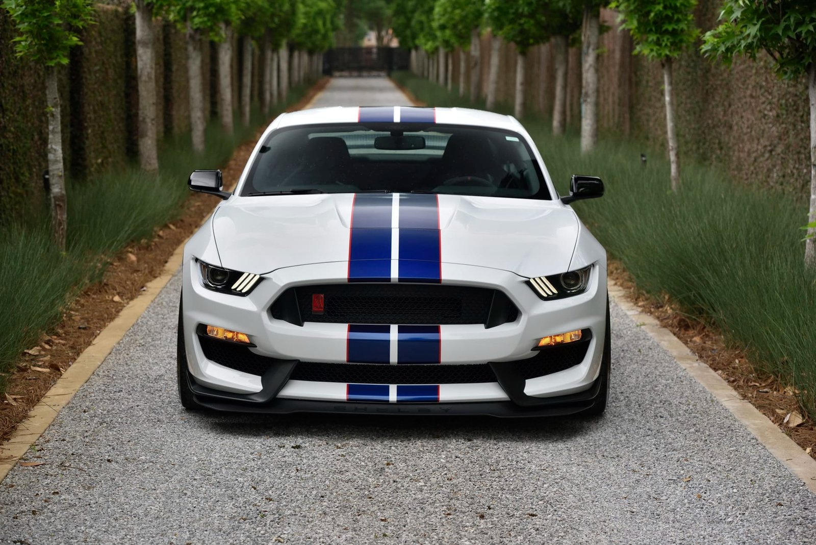 2015 Ford Shelby GT350R For Sale (19)