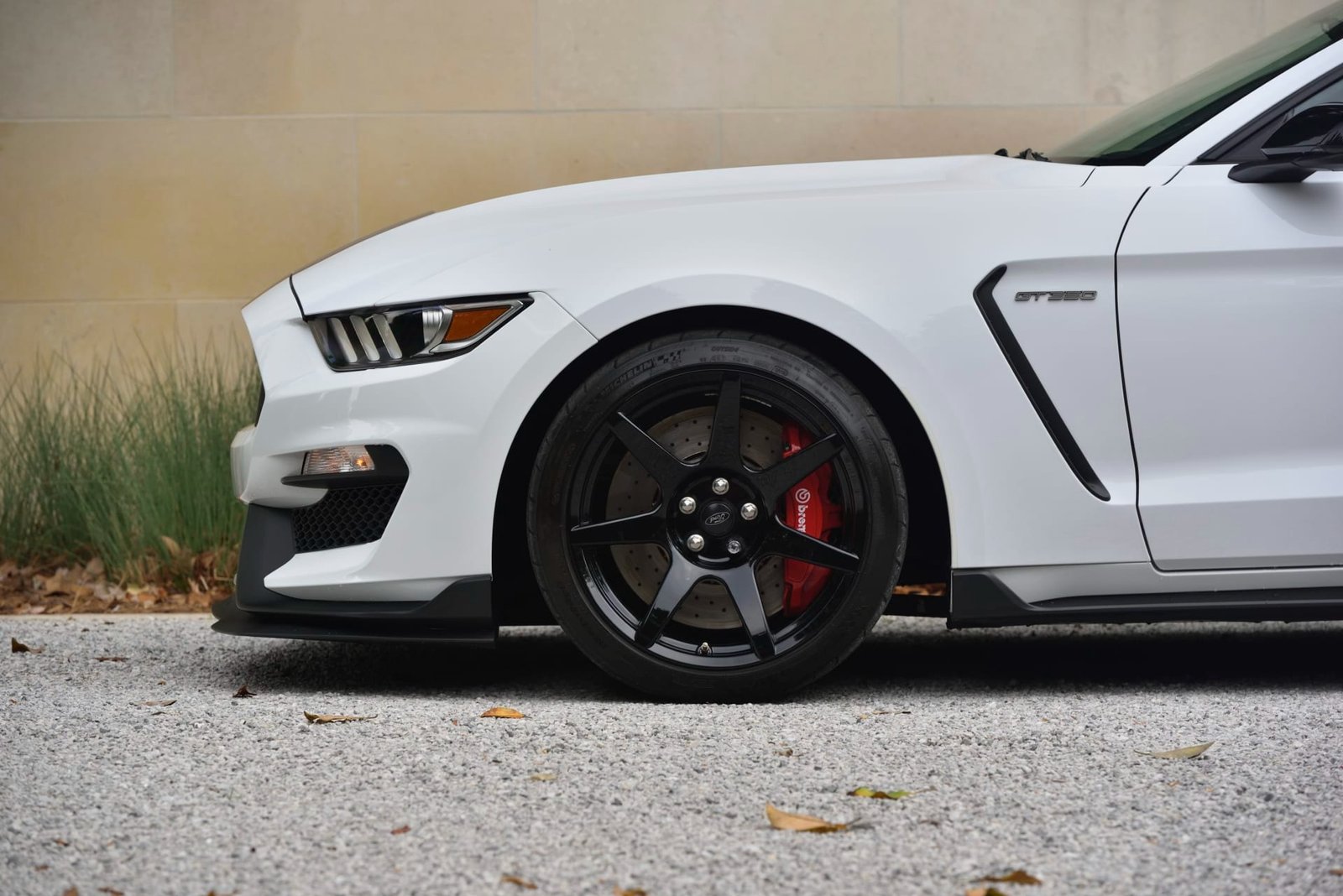 2015 Ford Shelby GT350R For Sale (2)