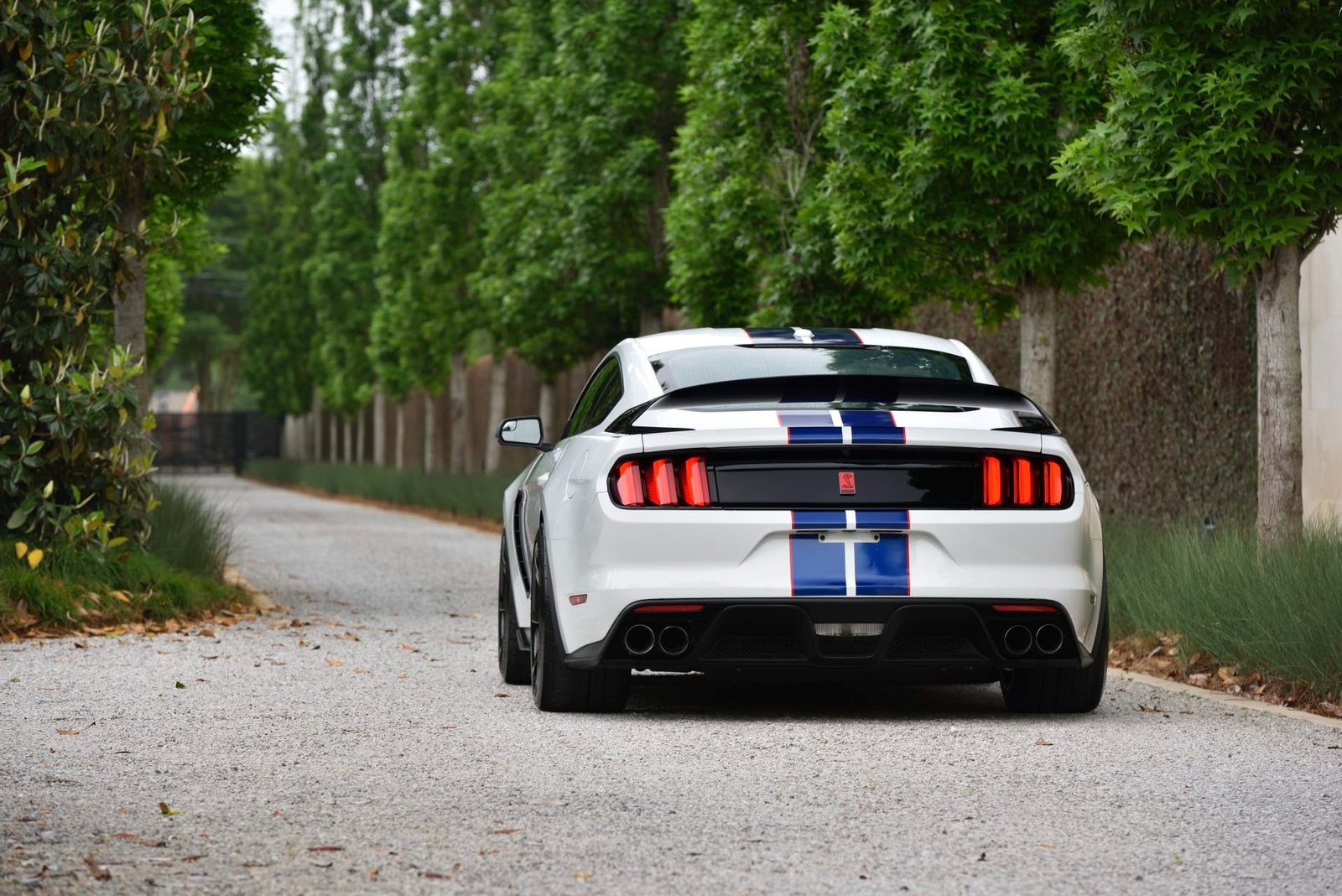 2015 Ford Shelby GT350R For Sale (20)