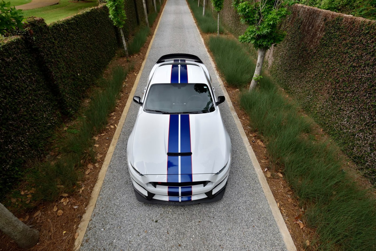 2015 Ford Shelby GT350R For Sale (21)