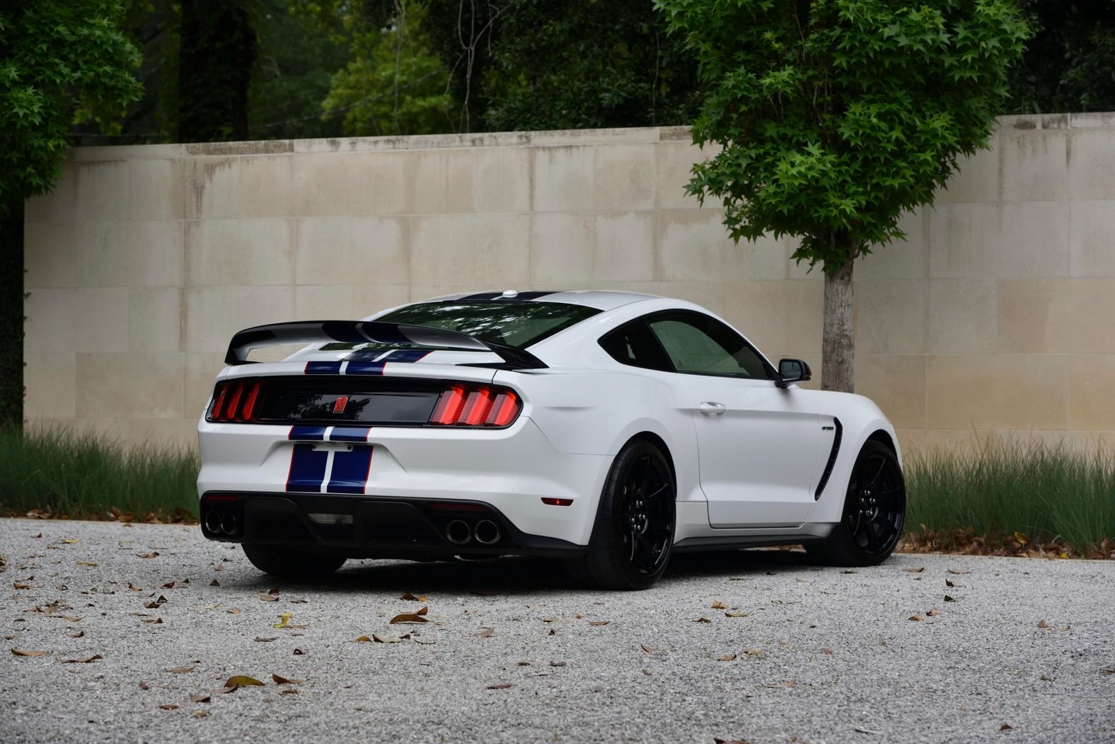 2015 Ford Shelby GT350R For Sale (22)