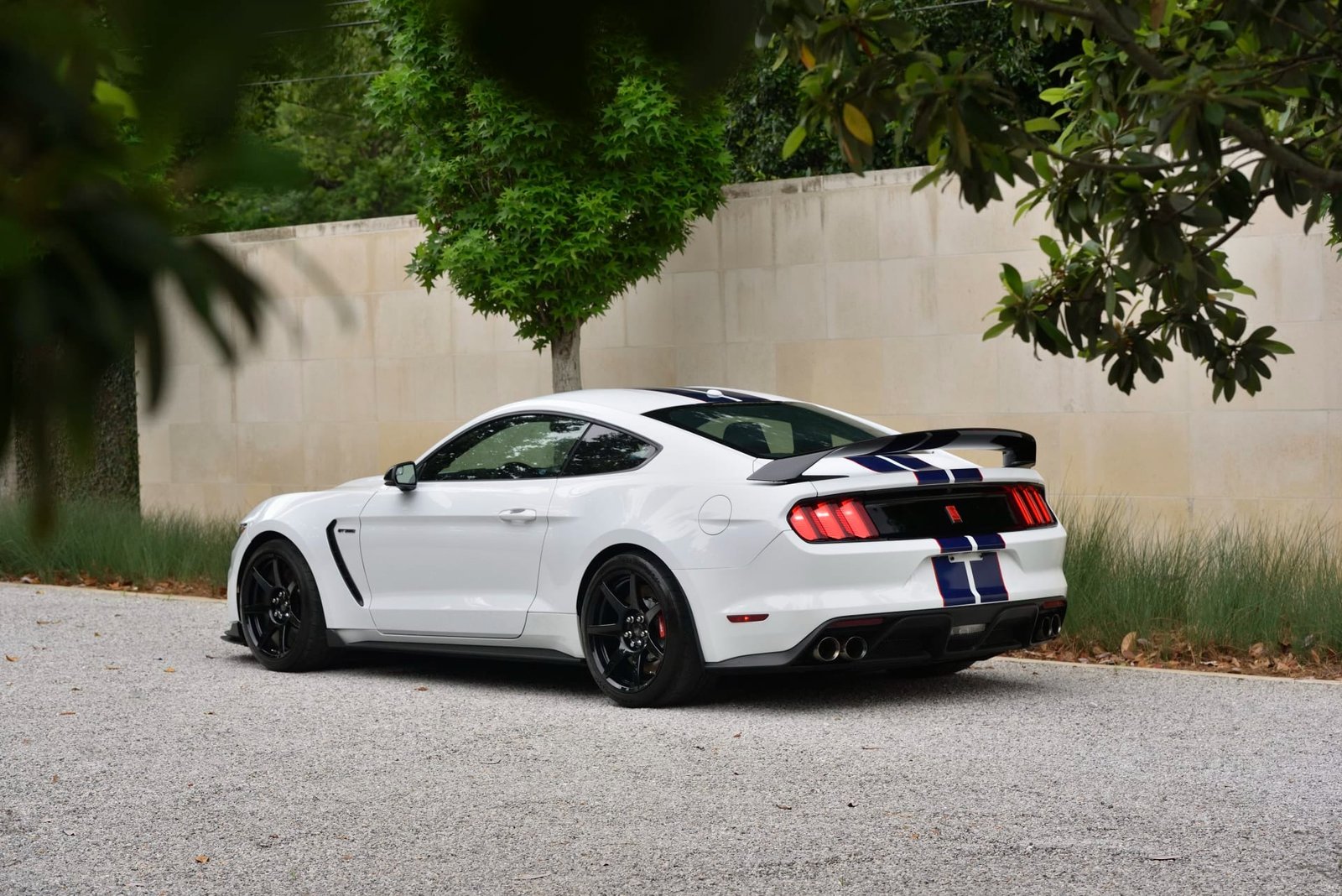 2015 Ford Shelby GT350R For Sale (23)