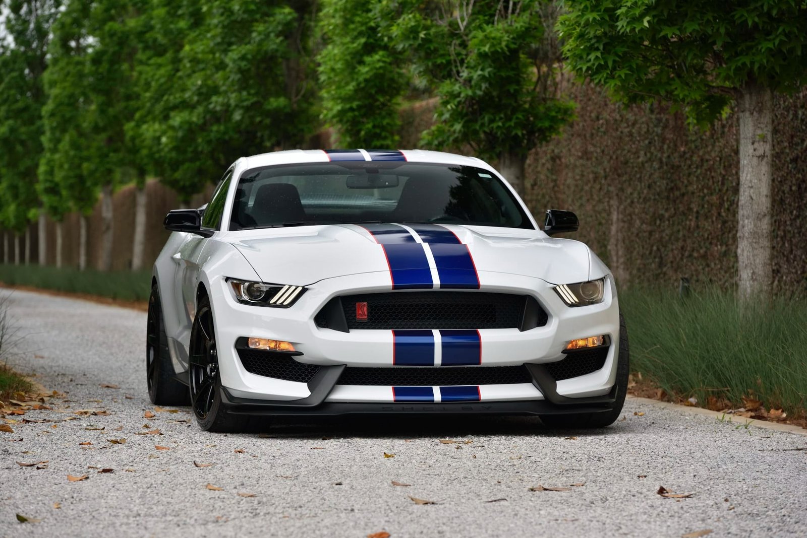 2015 Ford Shelby GT350R For Sale (24)