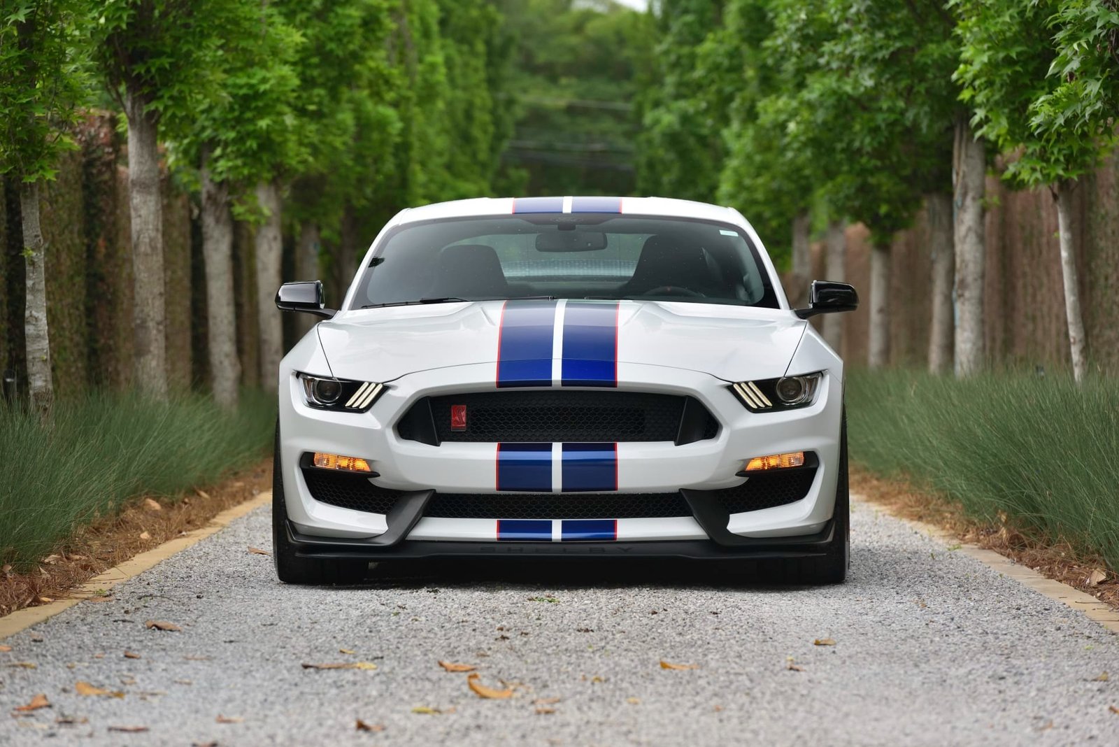 2015 Ford Shelby GT350R For Sale (25)
