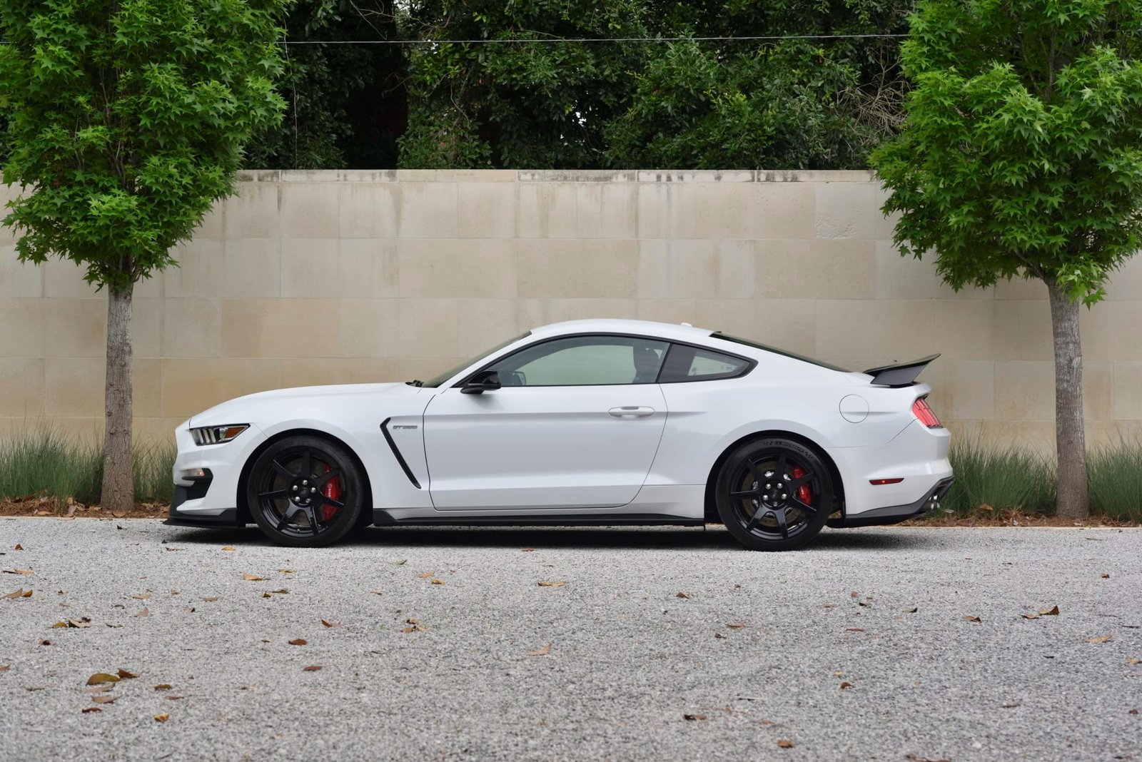 2015 Ford Shelby GT350R For Sale (26)