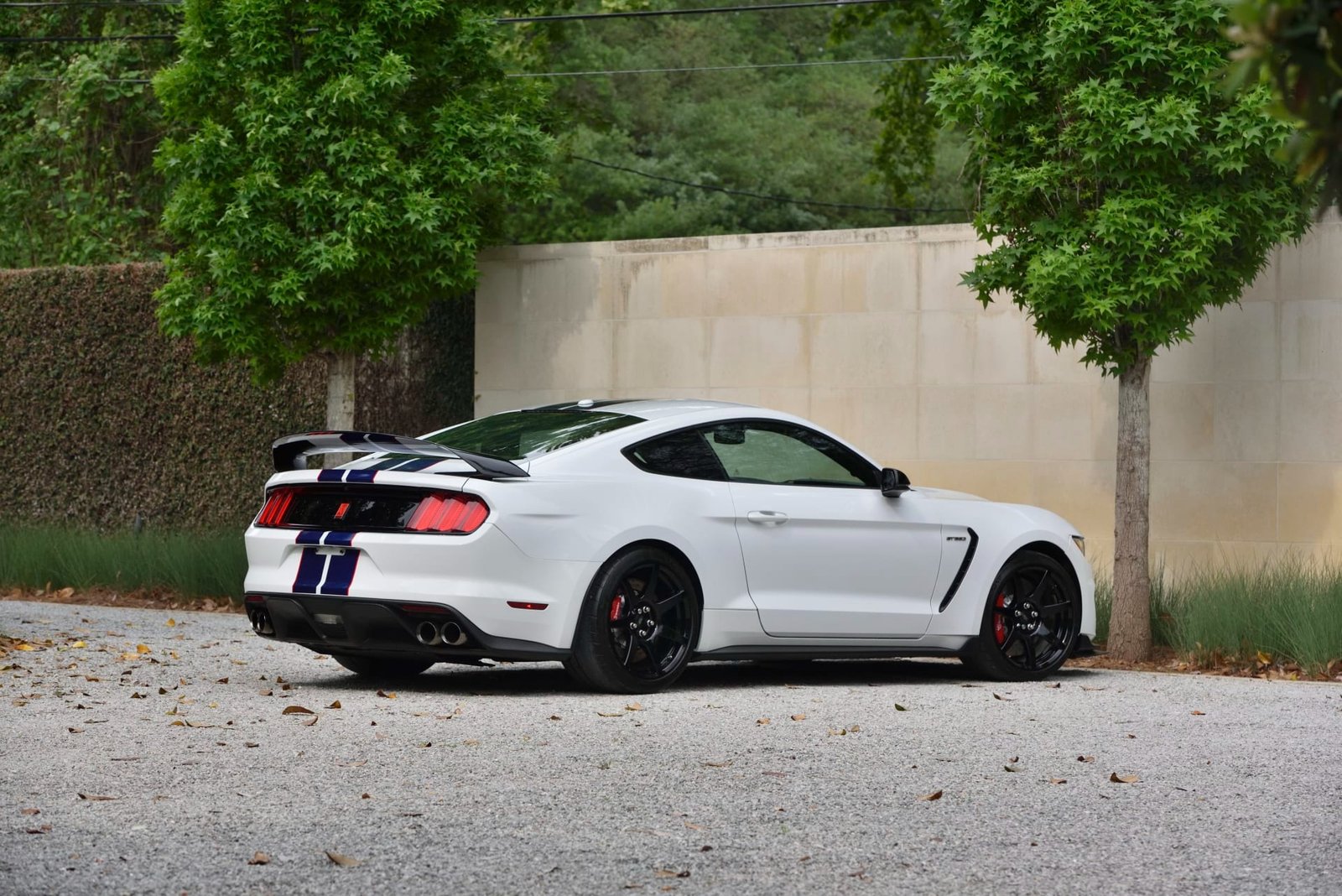 2015 Ford Shelby GT350R For Sale (27)