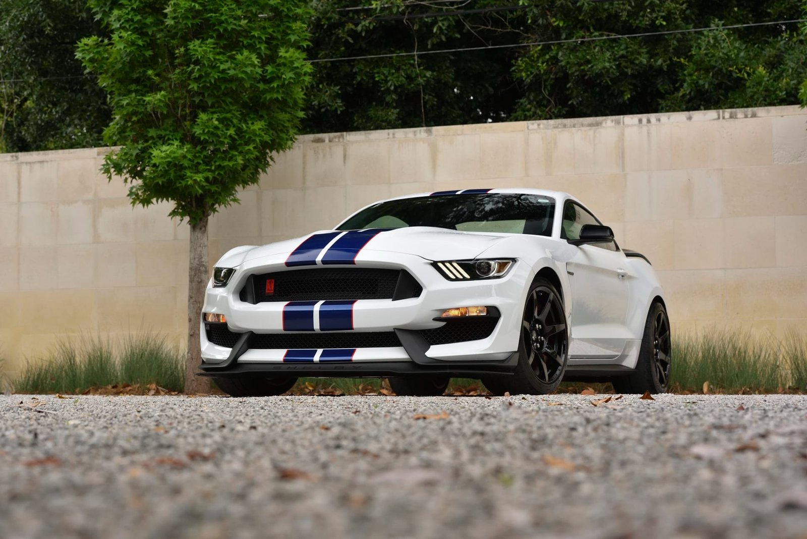 2015 Ford Shelby GT350R For Sale (28)