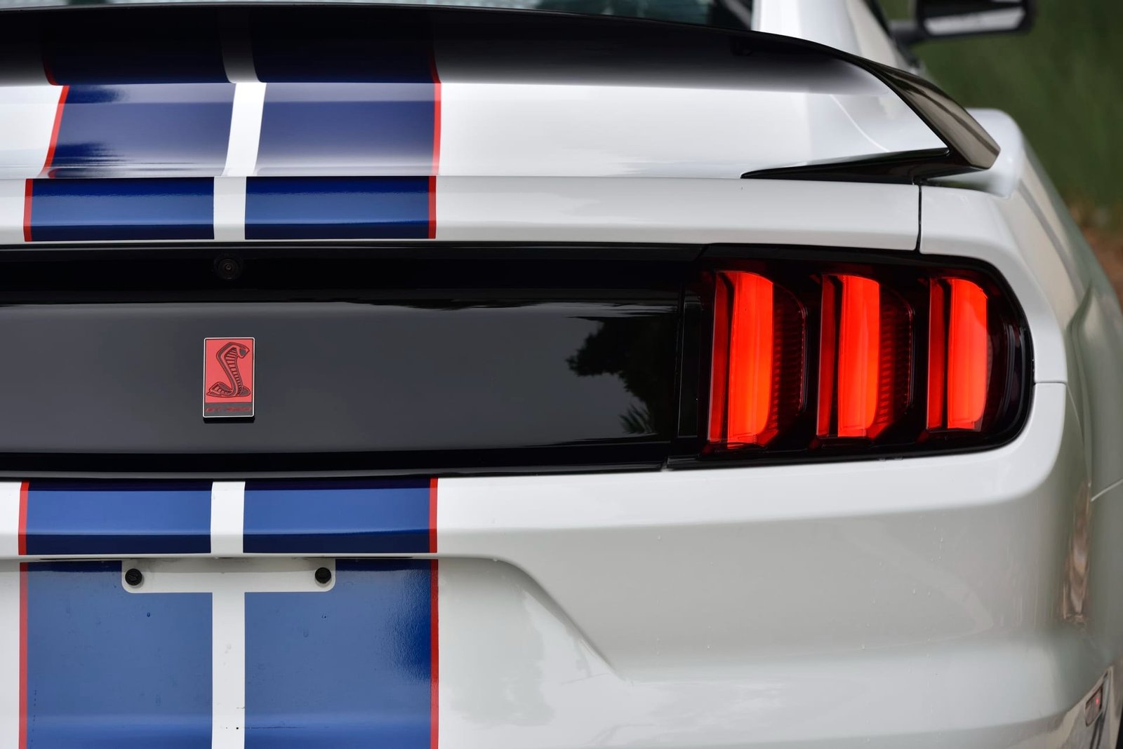 2015 Ford Shelby GT350R For Sale (29)