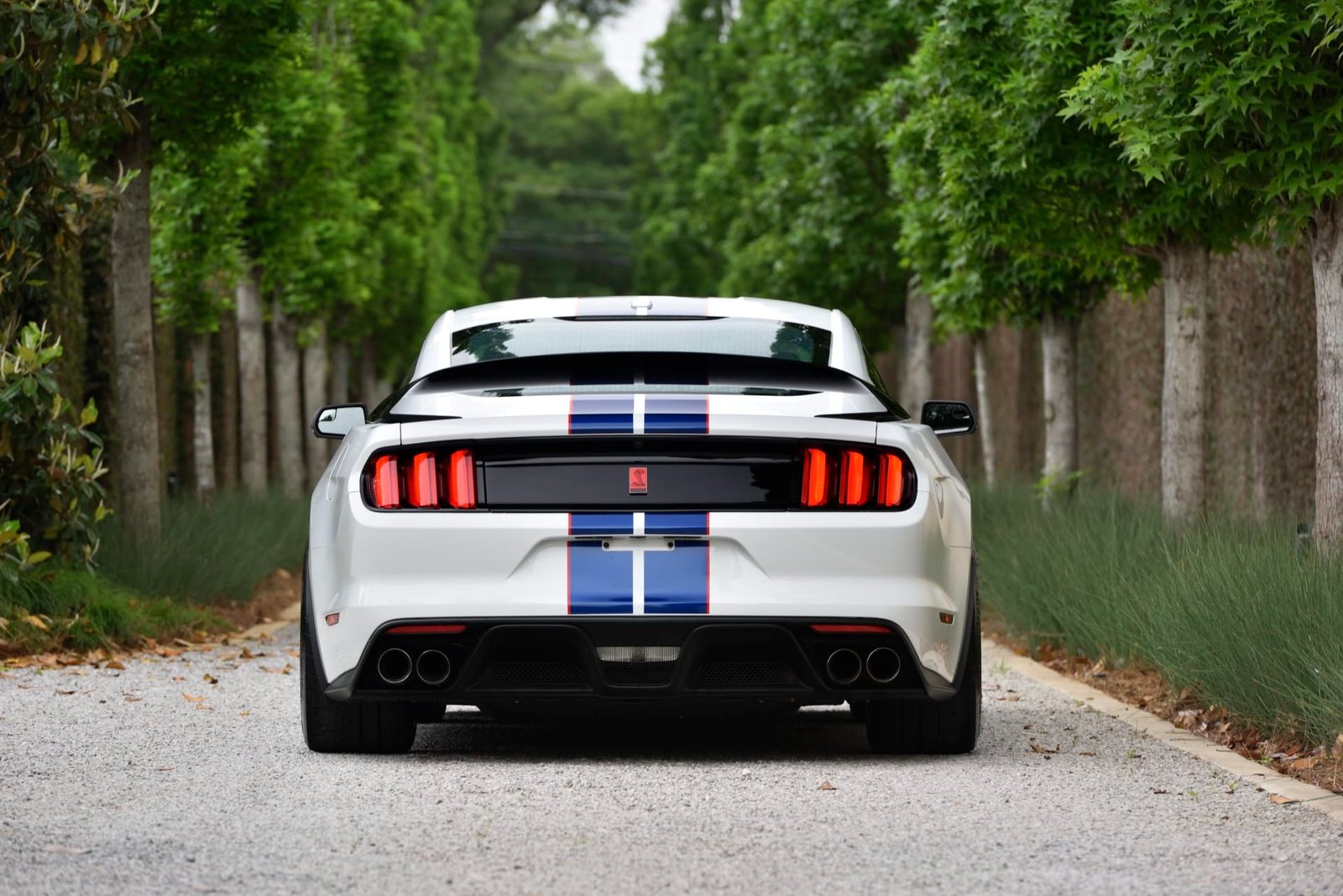2015 Ford Shelby GT350R For Sale (3)