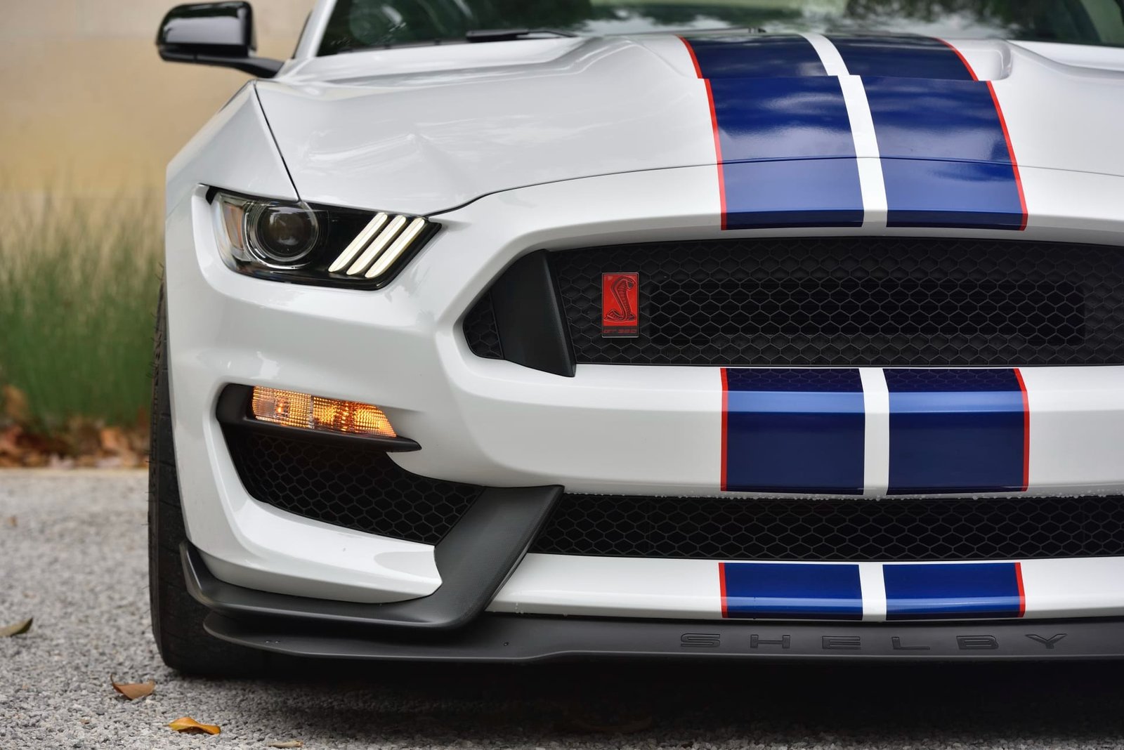 2015 Ford Shelby GT350R For Sale (30)