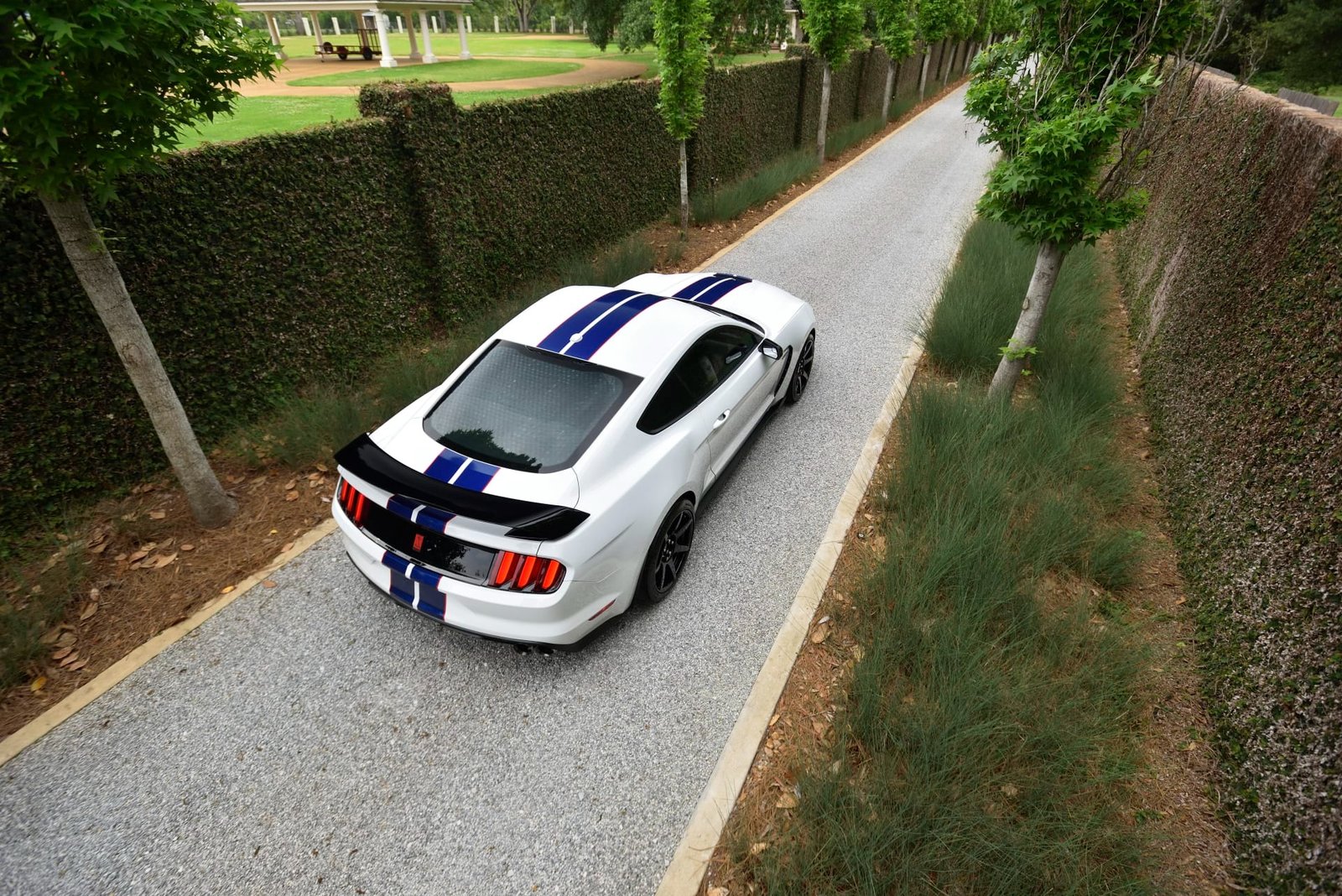2015 Ford Shelby GT350R For Sale (35)