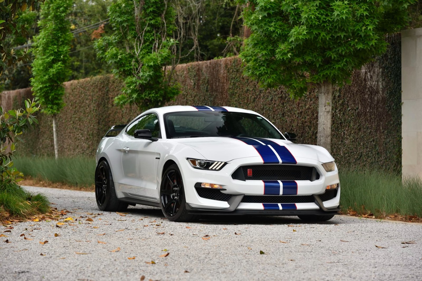 2015 Ford Shelby GT350R For Sale (37)