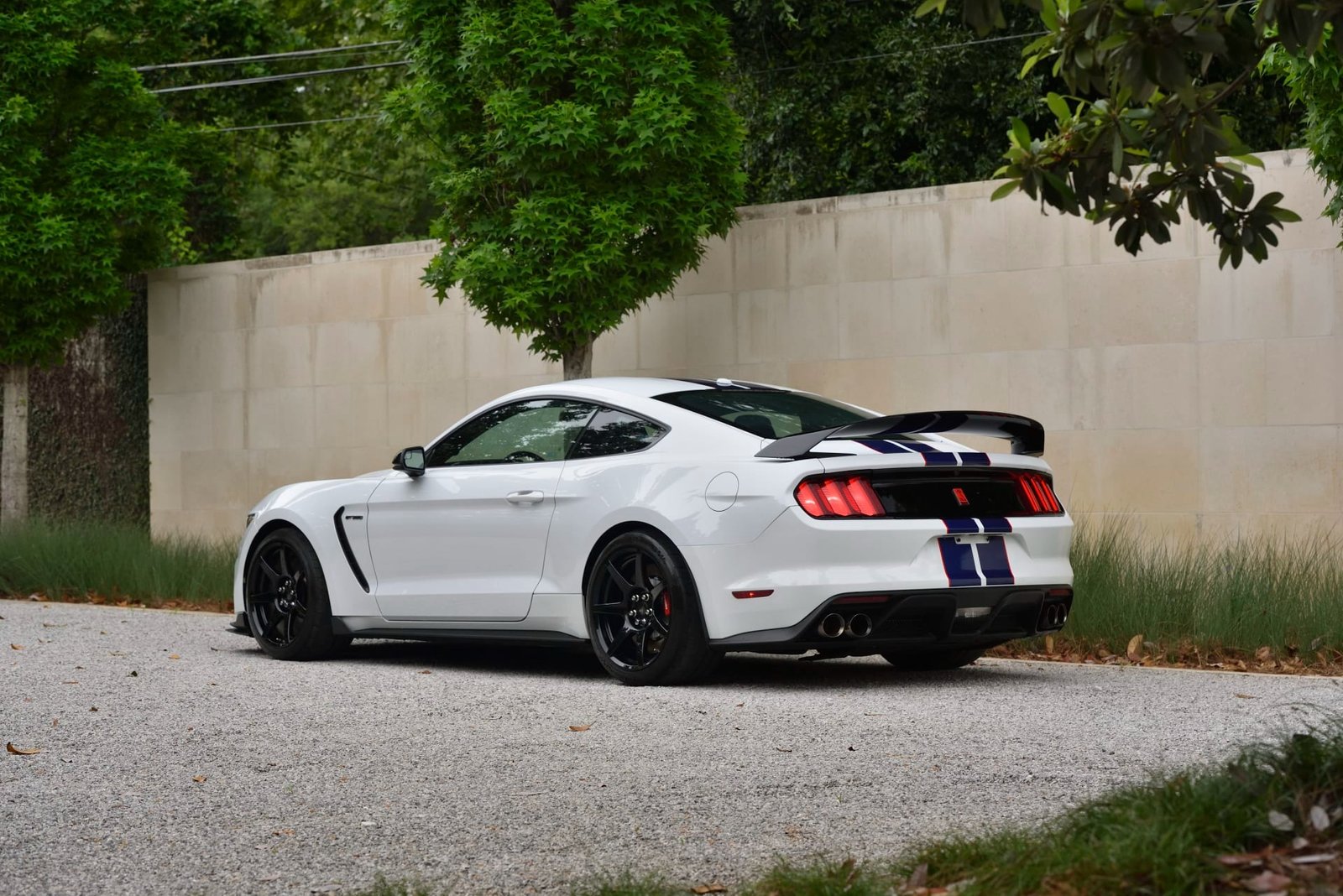 2015 Ford Shelby GT350R For Sale (38)