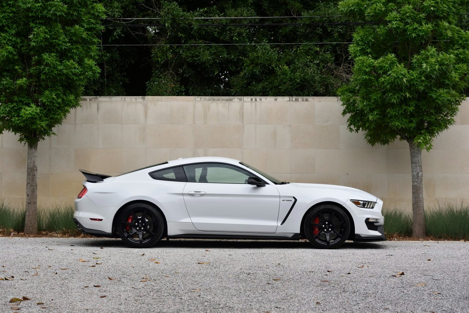 2015 Ford Shelby GT350R For Sale (39)