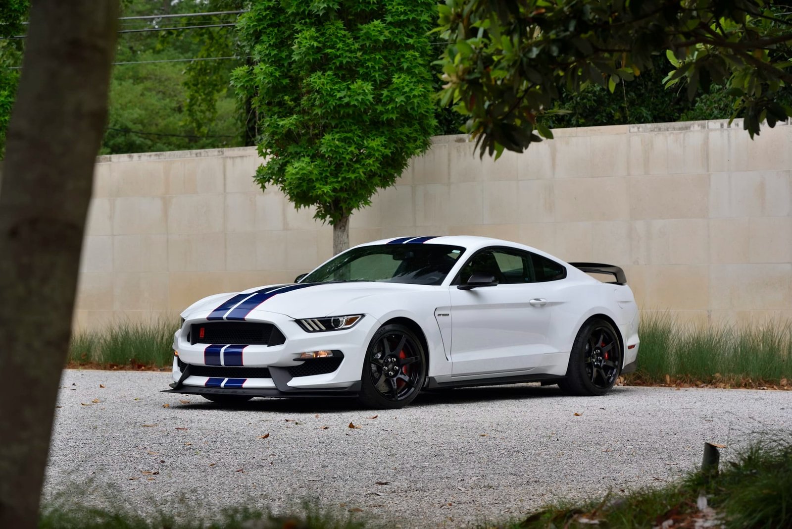 2015 Ford Shelby GT350R For Sale (5)