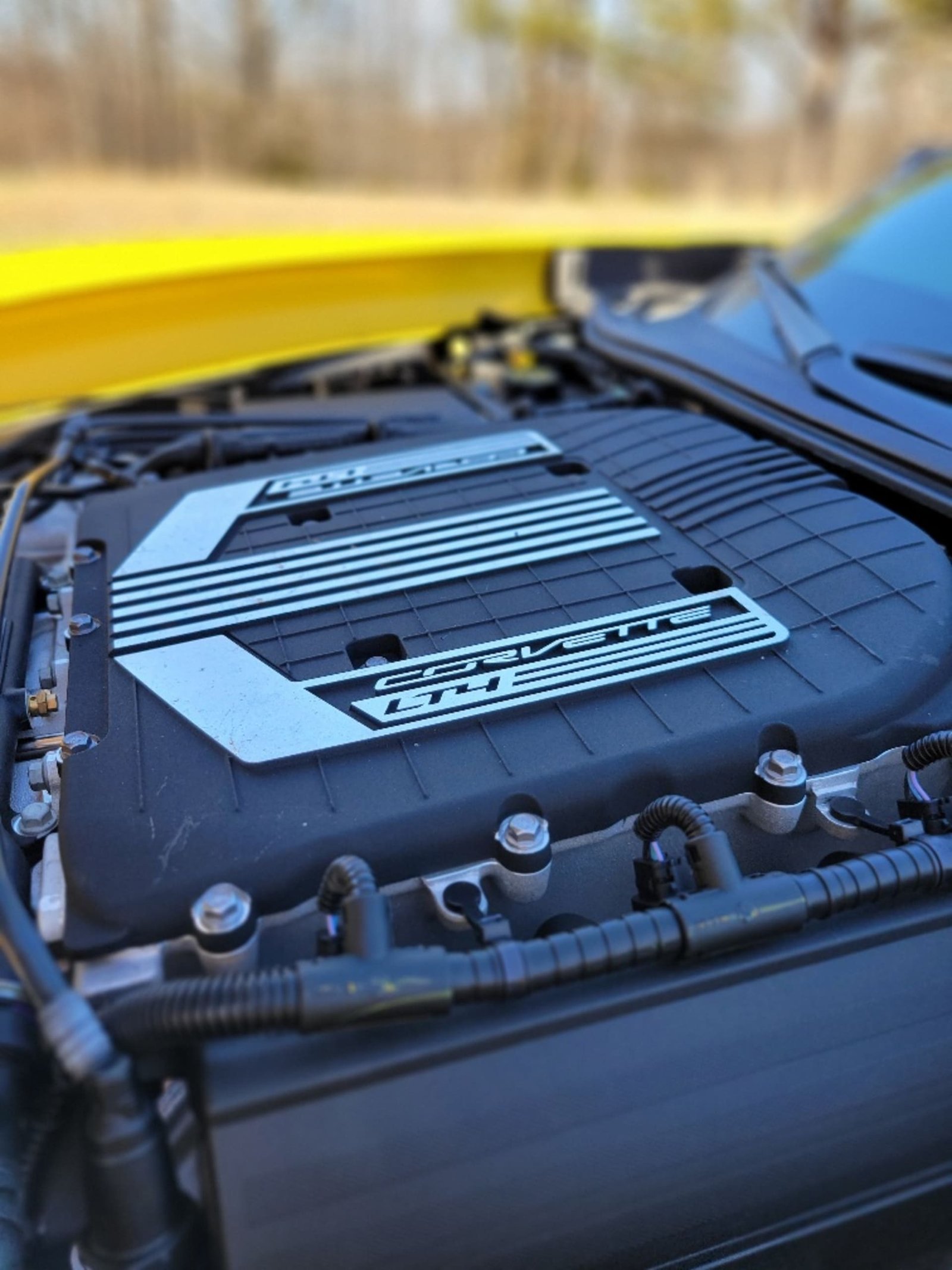 2016 Chevrolet Corvette Z06 C7.R Edition Coupe (13)