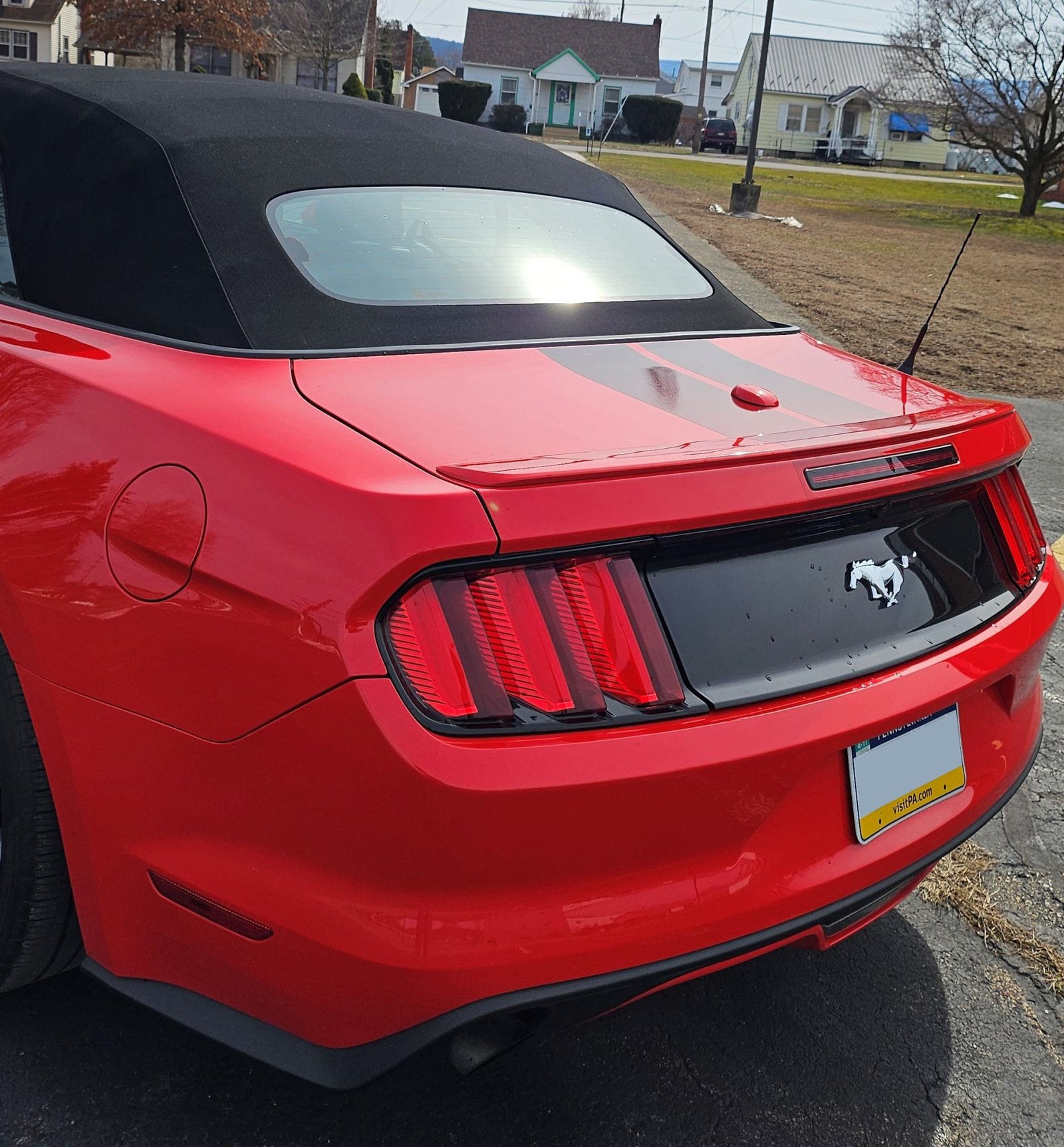 2016 Ford Mustang Convertible For Sale (20)