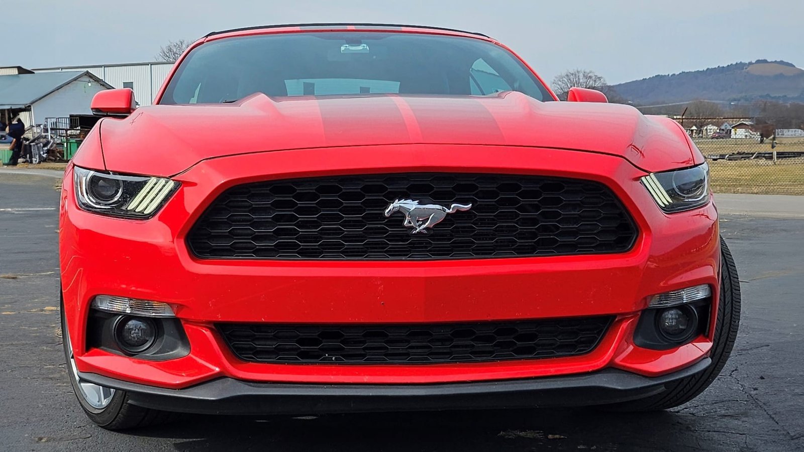 2016 Ford Mustang Convertible For Sale (6)