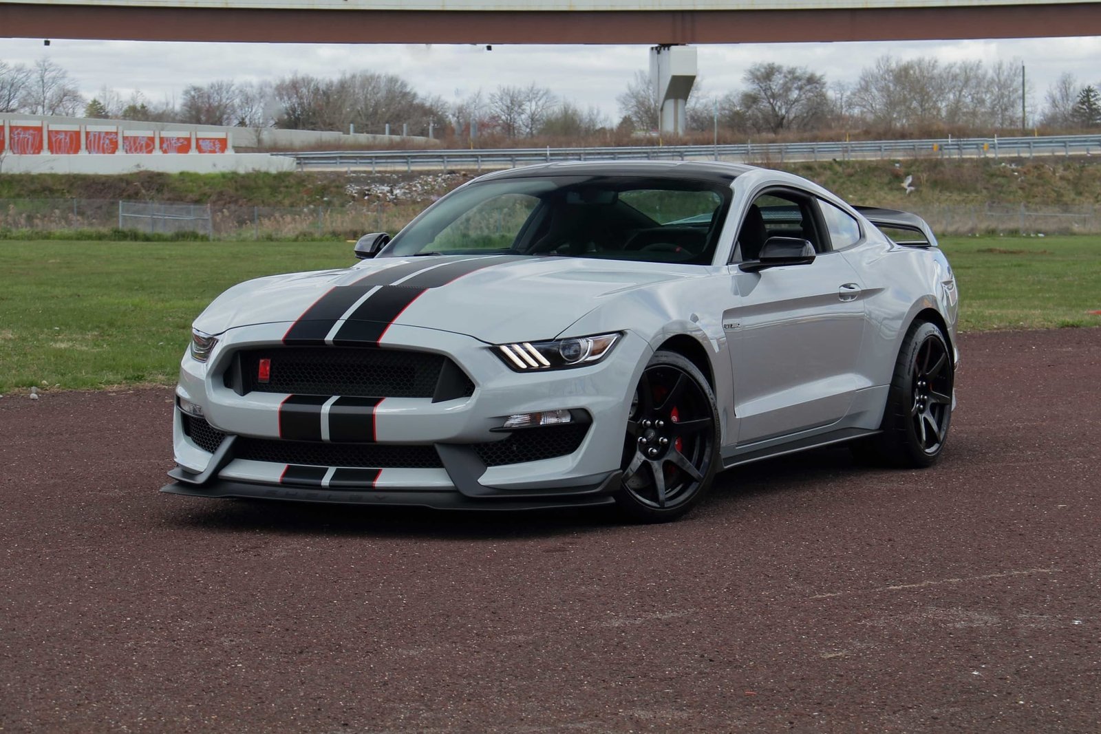 2016 Ford Shelby GT350R For Sale