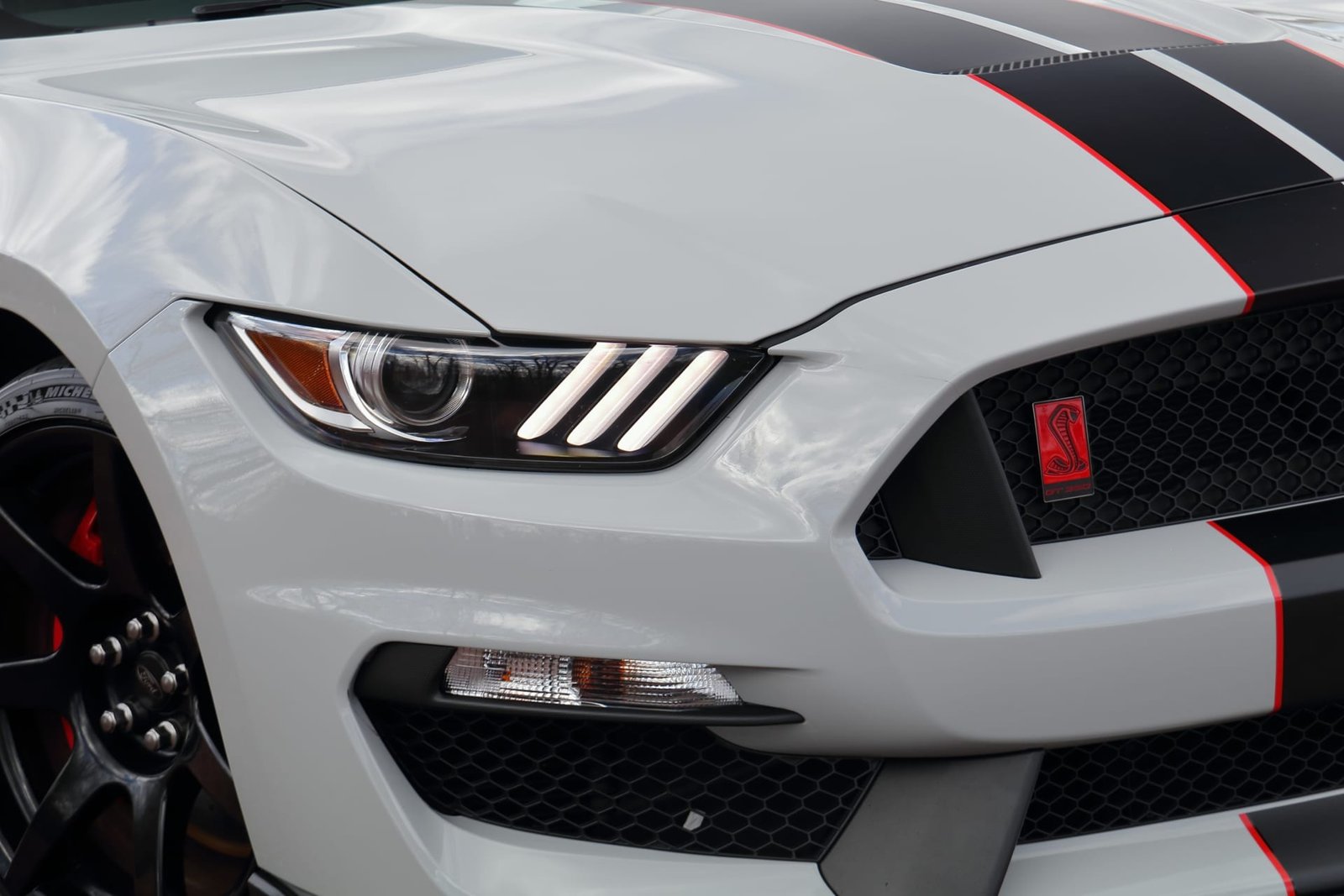 2016 Ford Shelby GT350R For Sale (29)