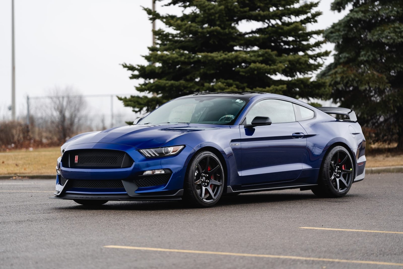 Ford Shelby GT350R For Sale