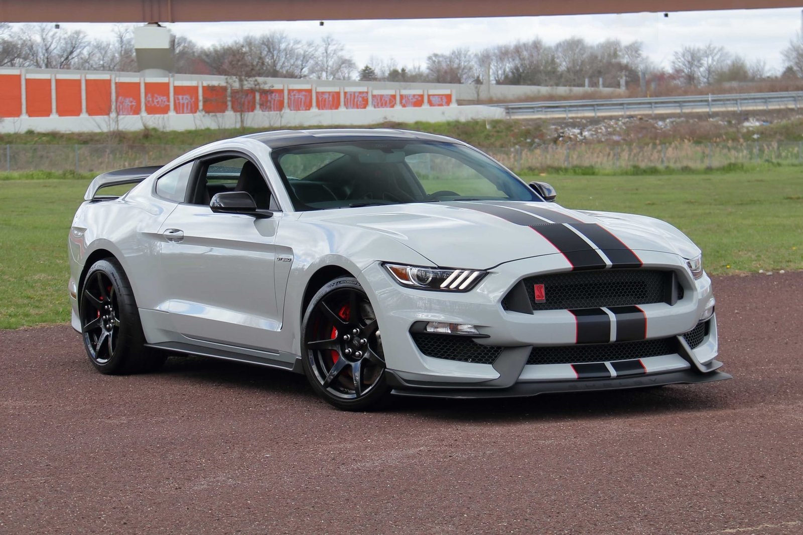 2016 Ford Shelby GT350R For Sale (6)