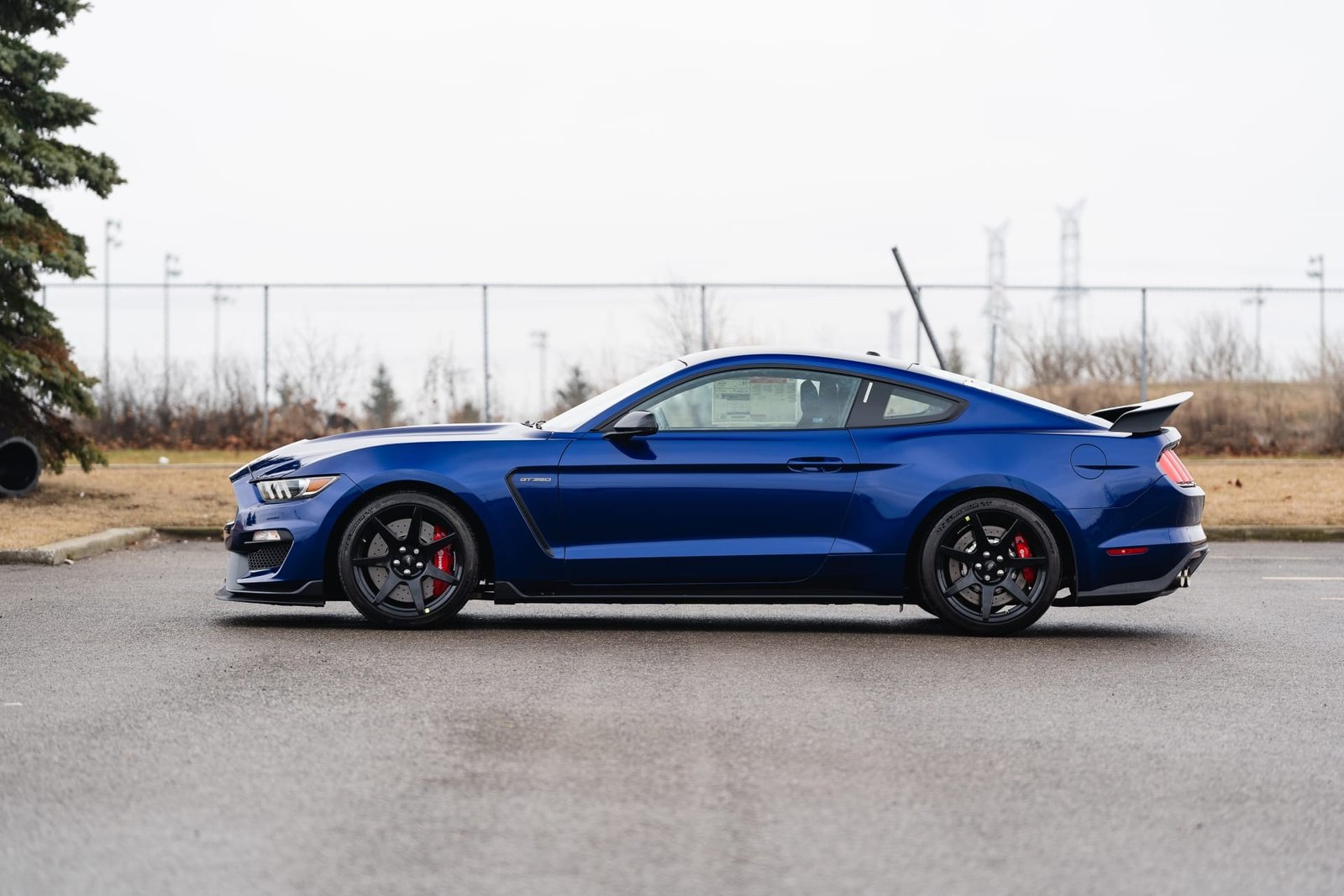 2016 Ford Shelby GT350R For Sale (74)