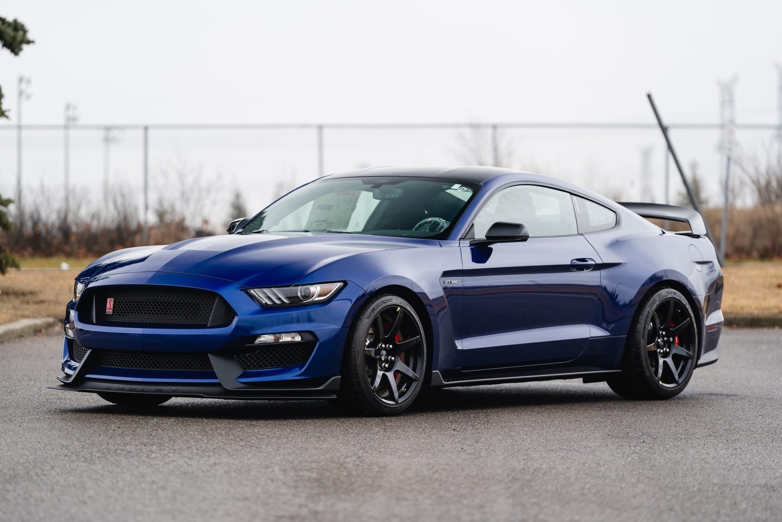 2016 Ford Shelby GT350R For Sale (79)