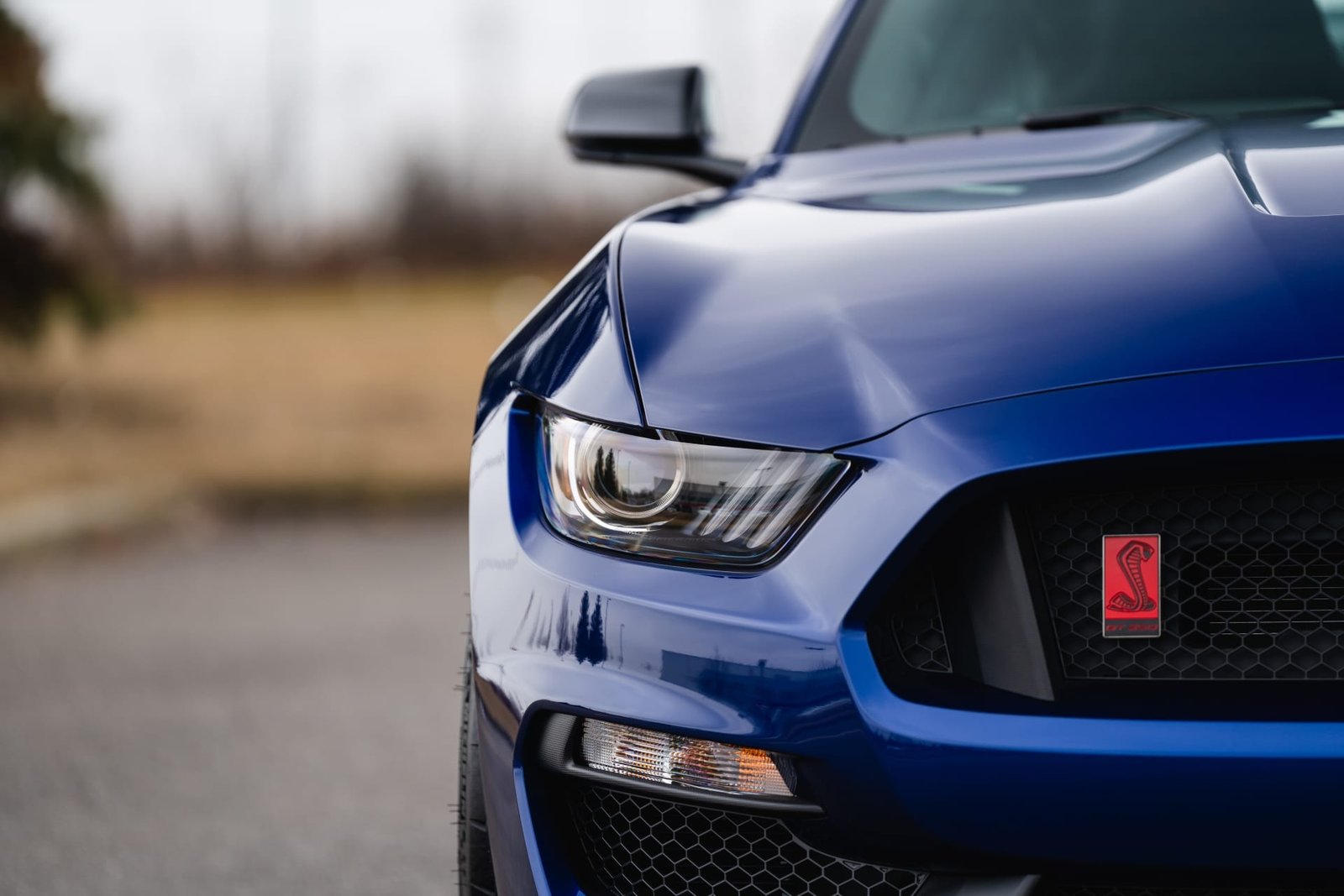 2016 Ford Shelby GT350R For Sale (80)