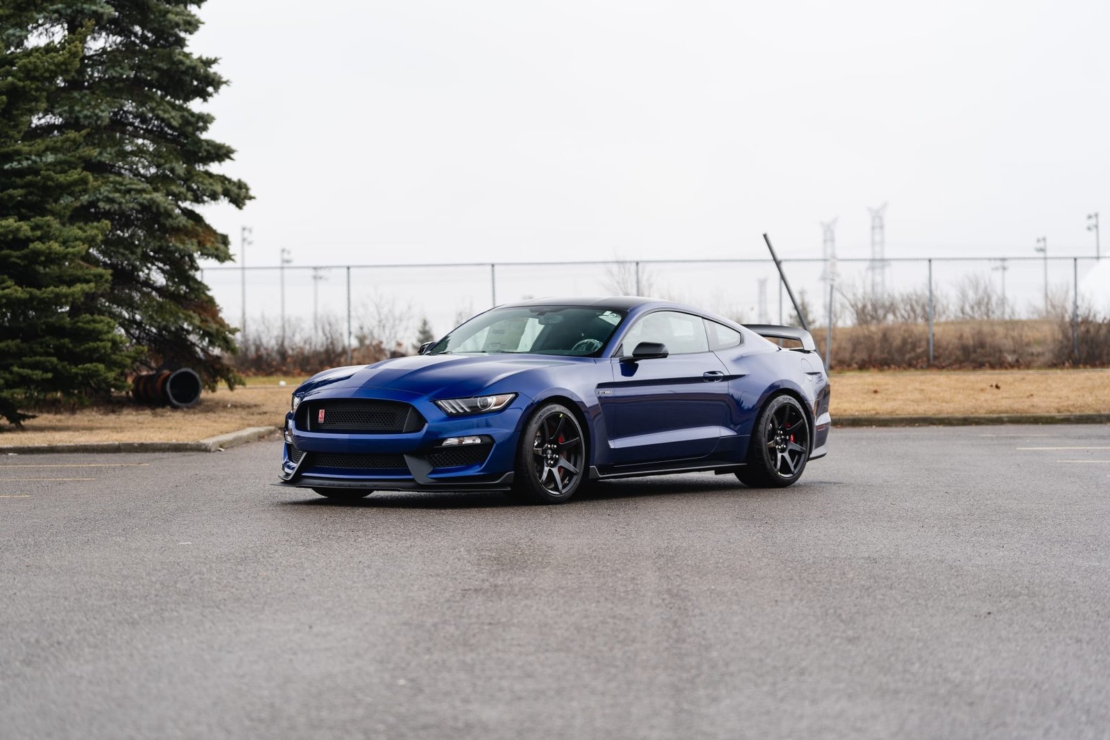 2016 Ford Shelby GT350R For Sale (81)