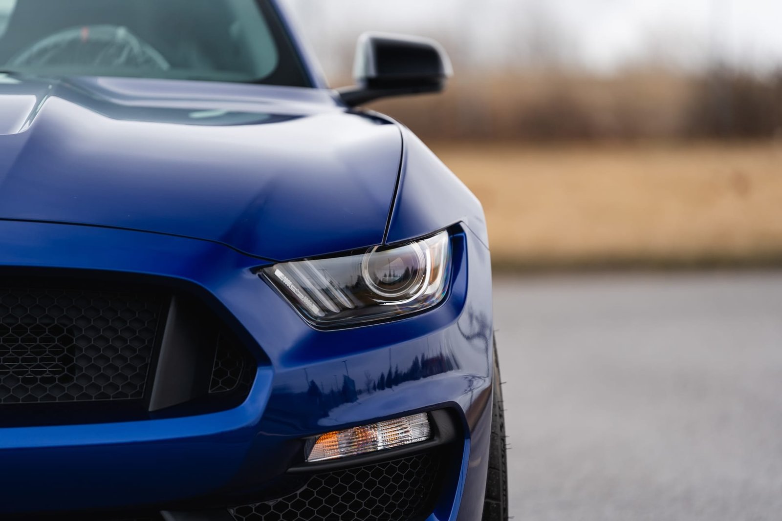 2016 Ford Shelby GT350R For Sale (86)