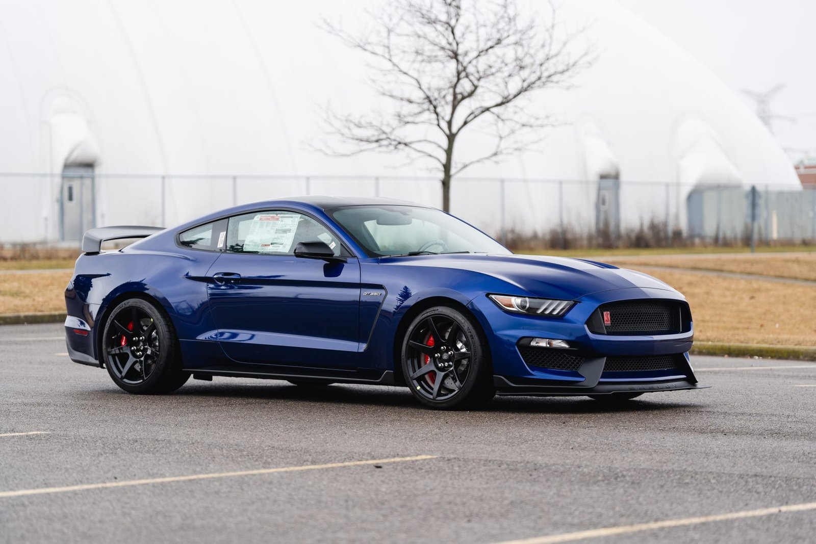 2016 Ford Shelby GT350R For Sale (87)