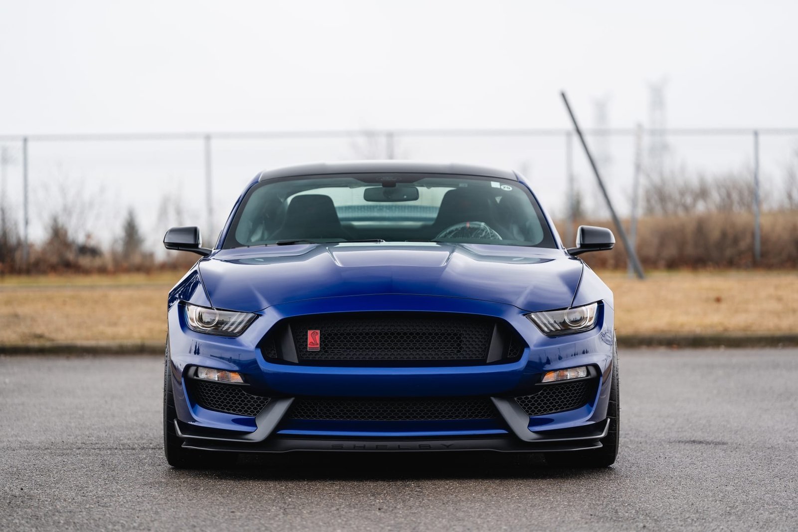 2016 Ford Shelby GT350R For Sale (89)
