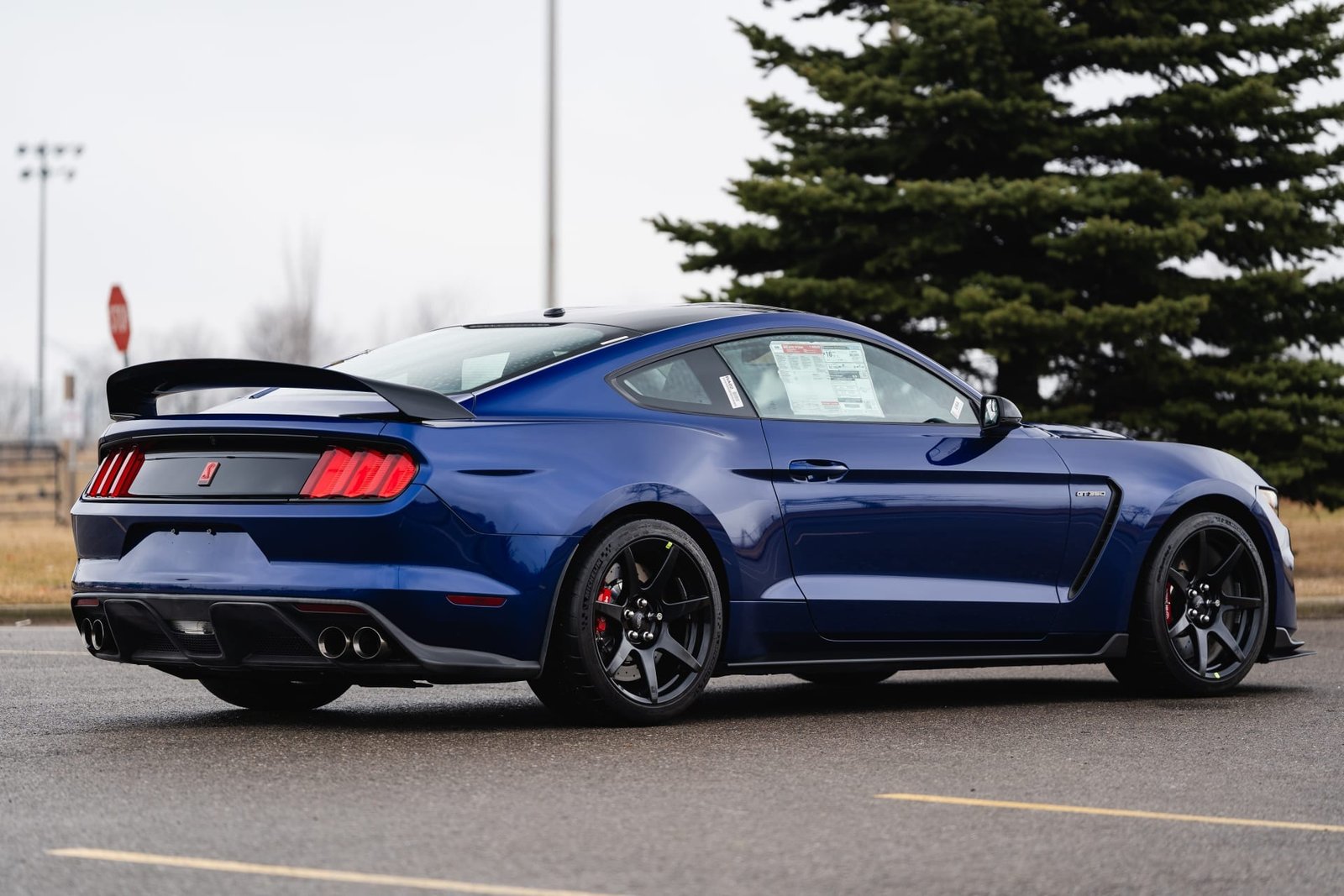2016 Ford Shelby GT350R For Sale (90)