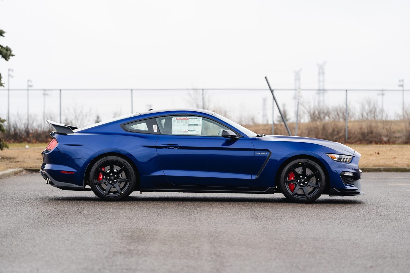 2016 Ford Shelby GT350R For Sale (91)