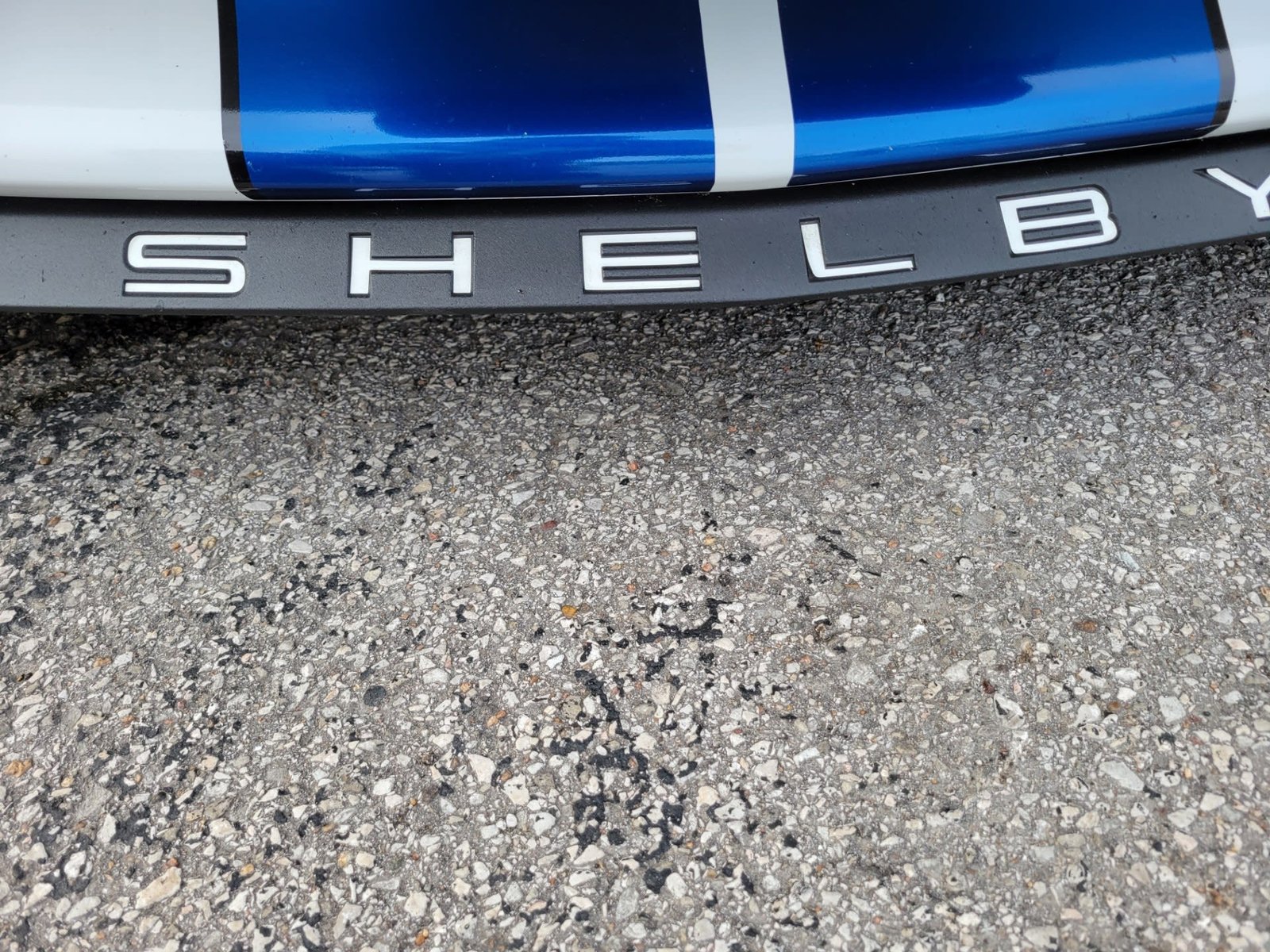 2018 Ford Shelby GT350 For Sale (30)