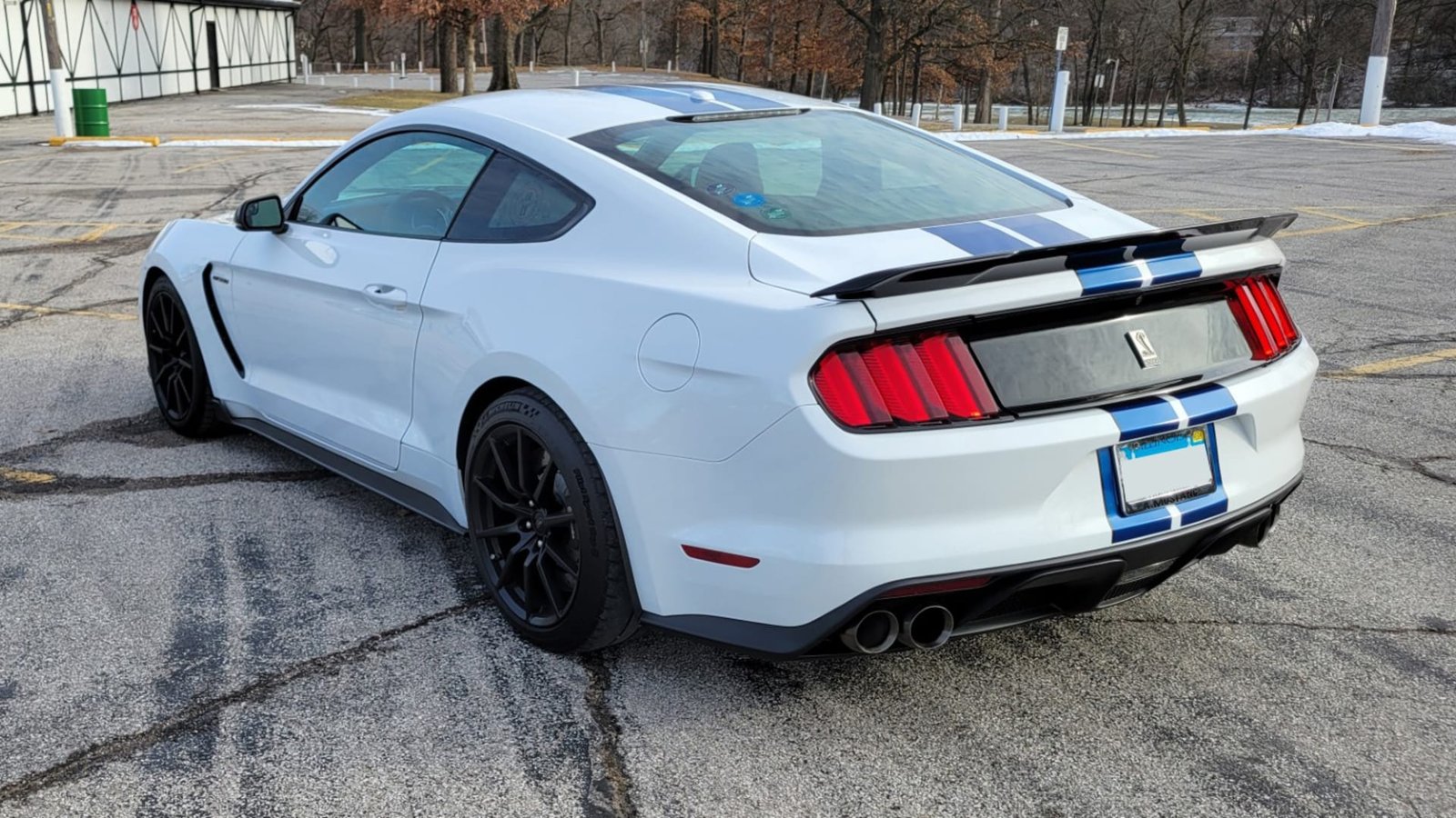 2018 Ford Shelby GT350 For Sale (38)